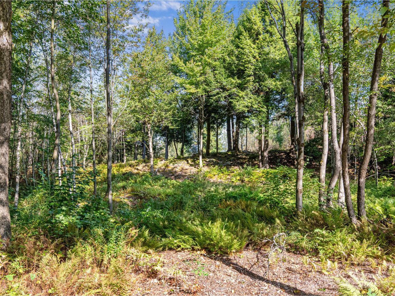 805 Deming Road Property Photo 50