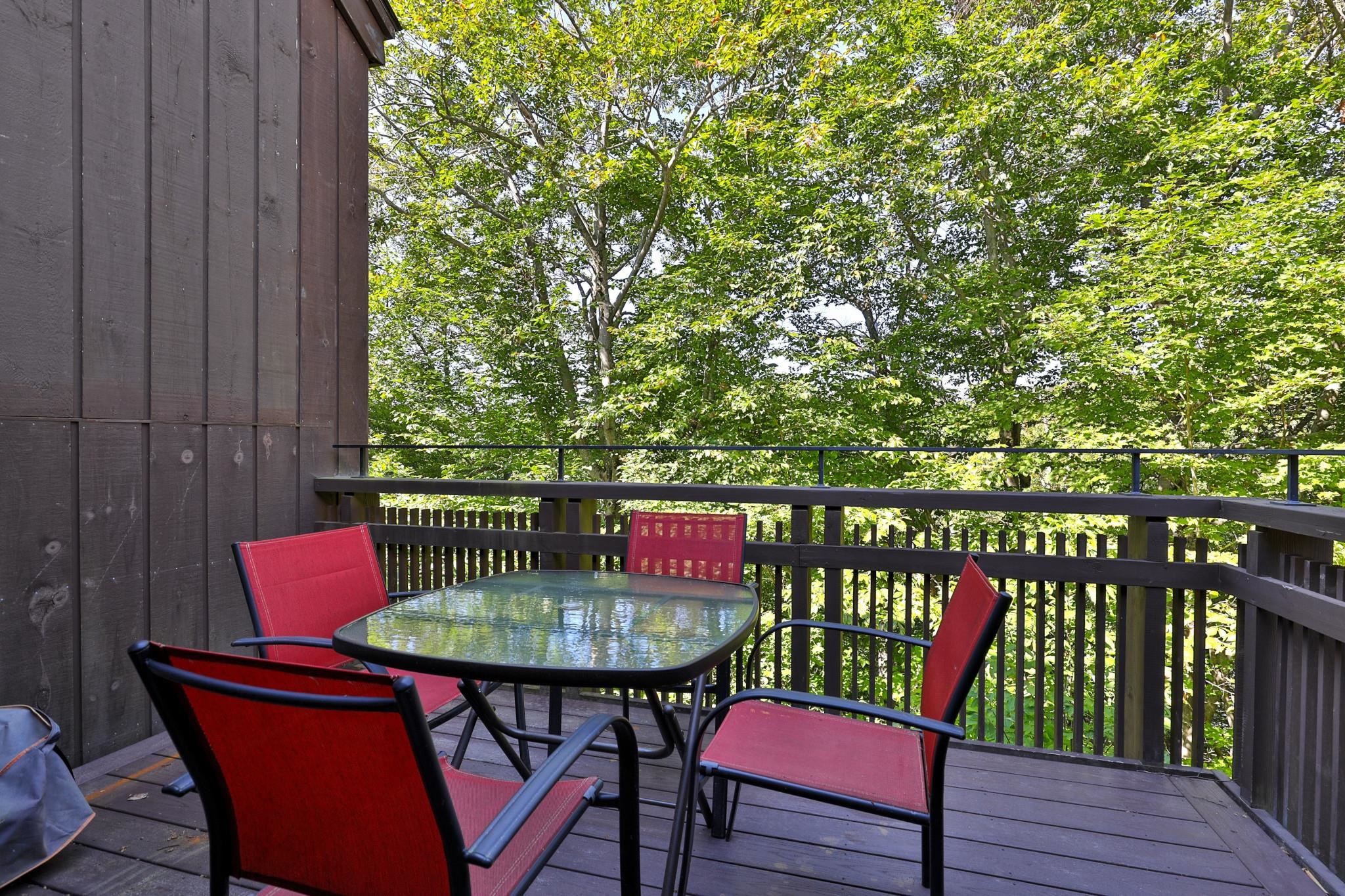 107 Blueberry Ledge Ridge Property Photo 27