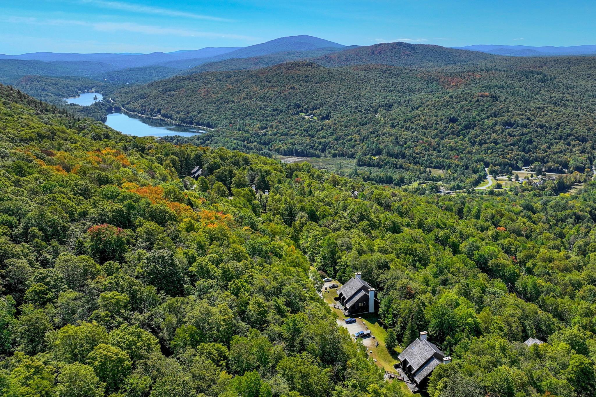 107 Blueberry Ledge Ridge Property Photo 42