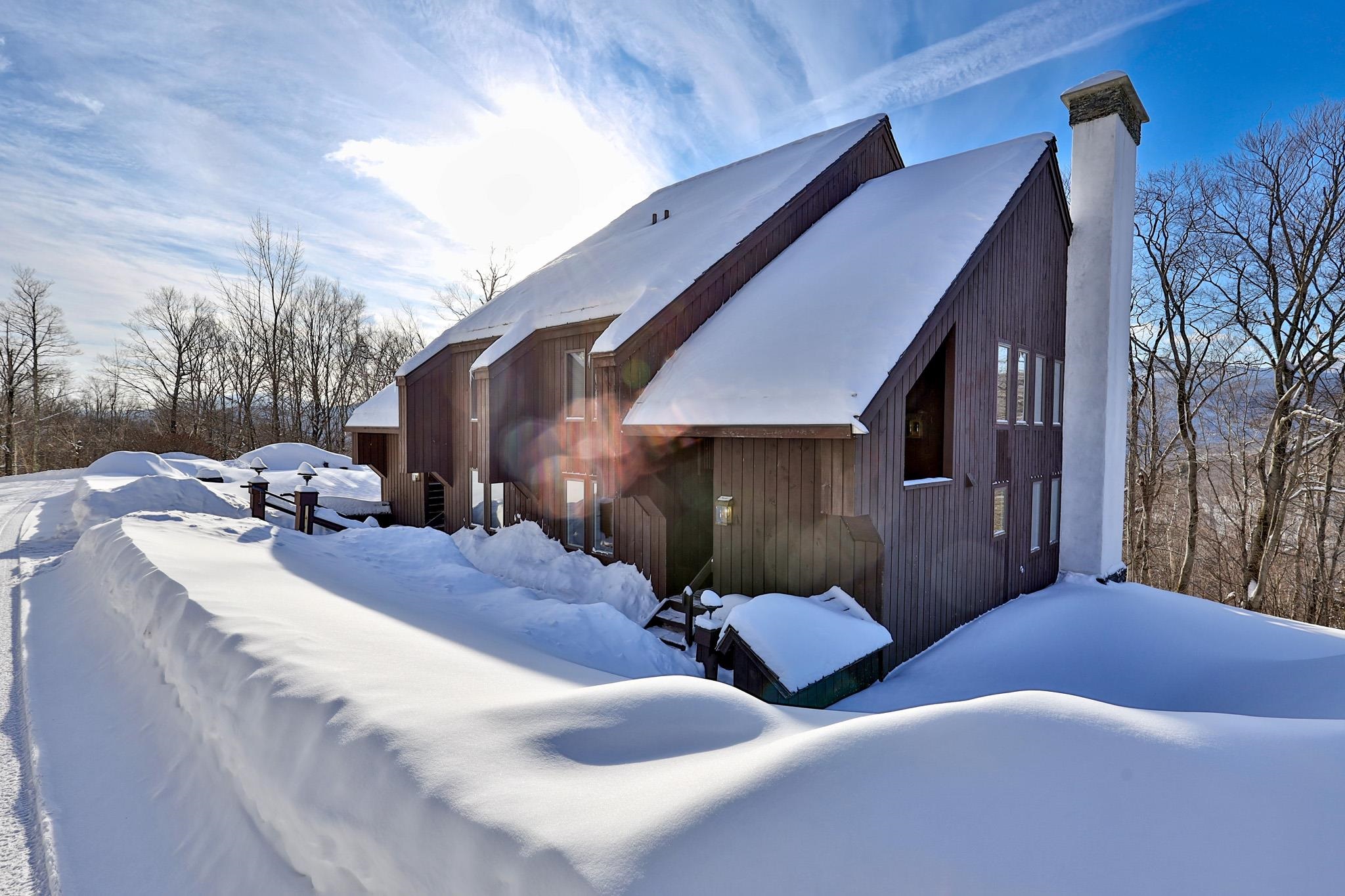 107 Blueberry Ledge Ridge Property Photo 44