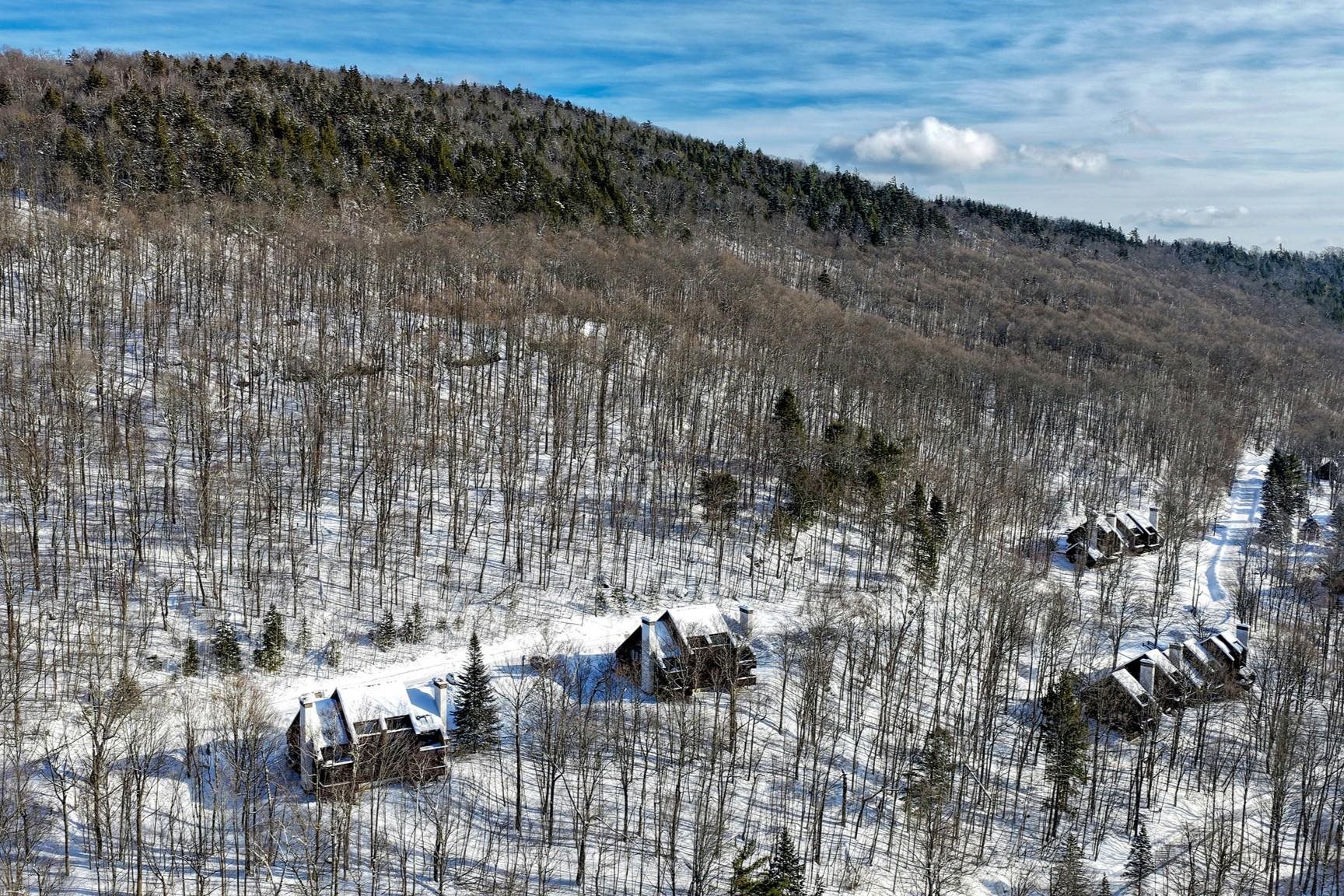 107 Blueberry Ledge Ridge Property Photo 46