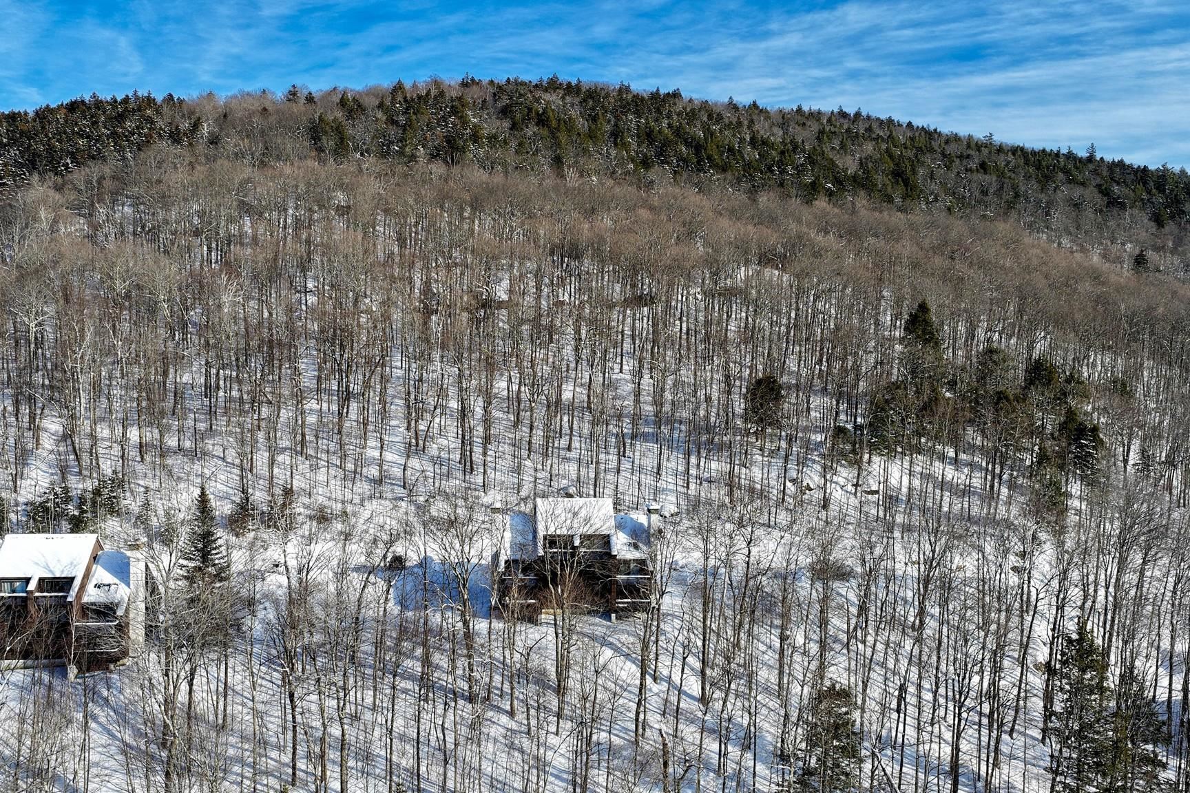107 Blueberry Ledge Ridge Property Photo 47