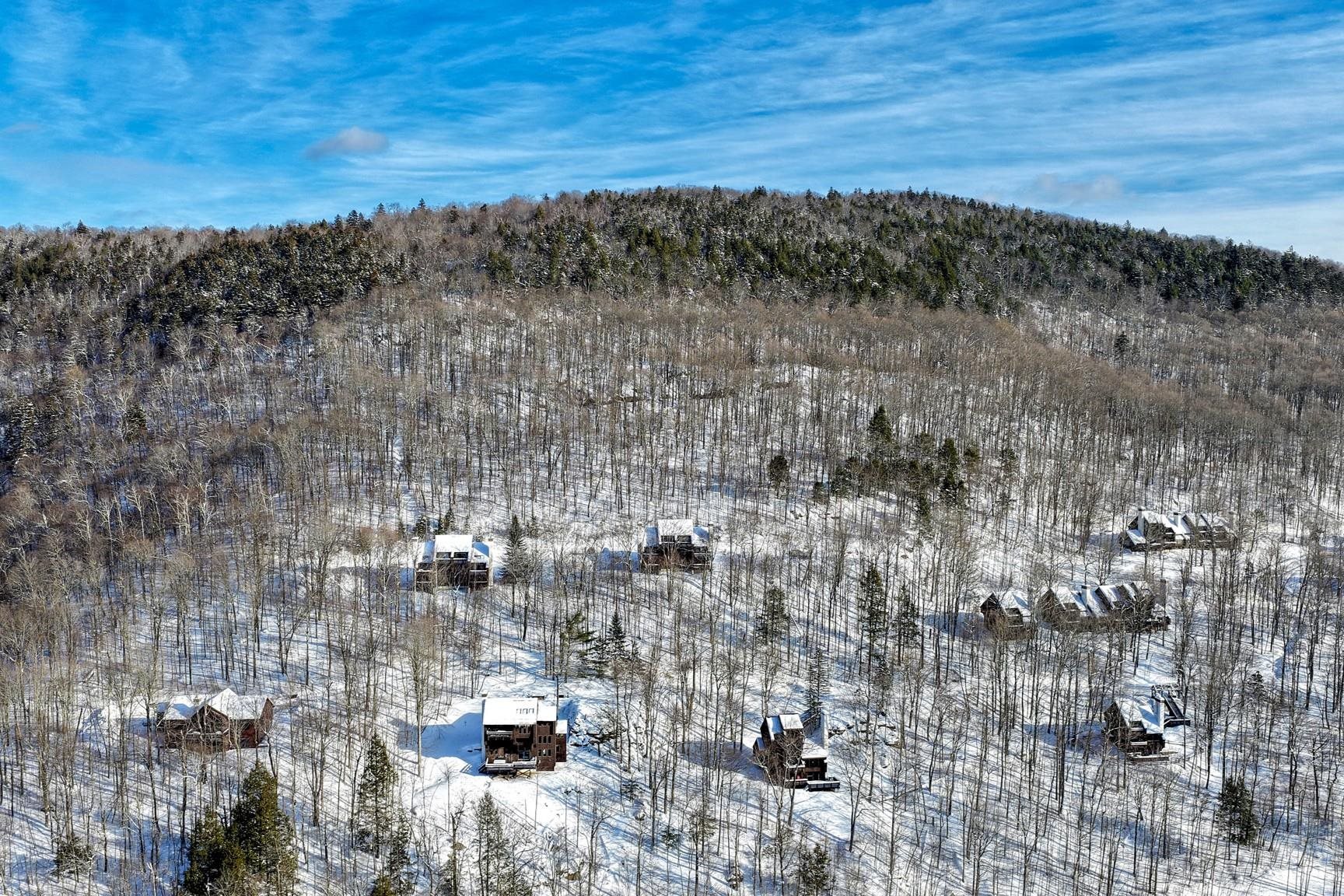 107 Blueberry Ledge Ridge Property Photo 48