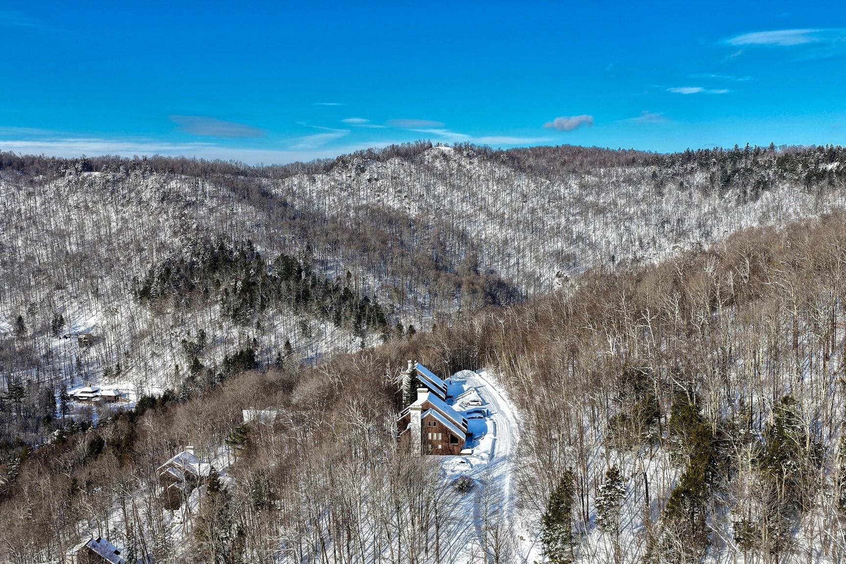107 Blueberry Ledge Ridge Property Photo 49