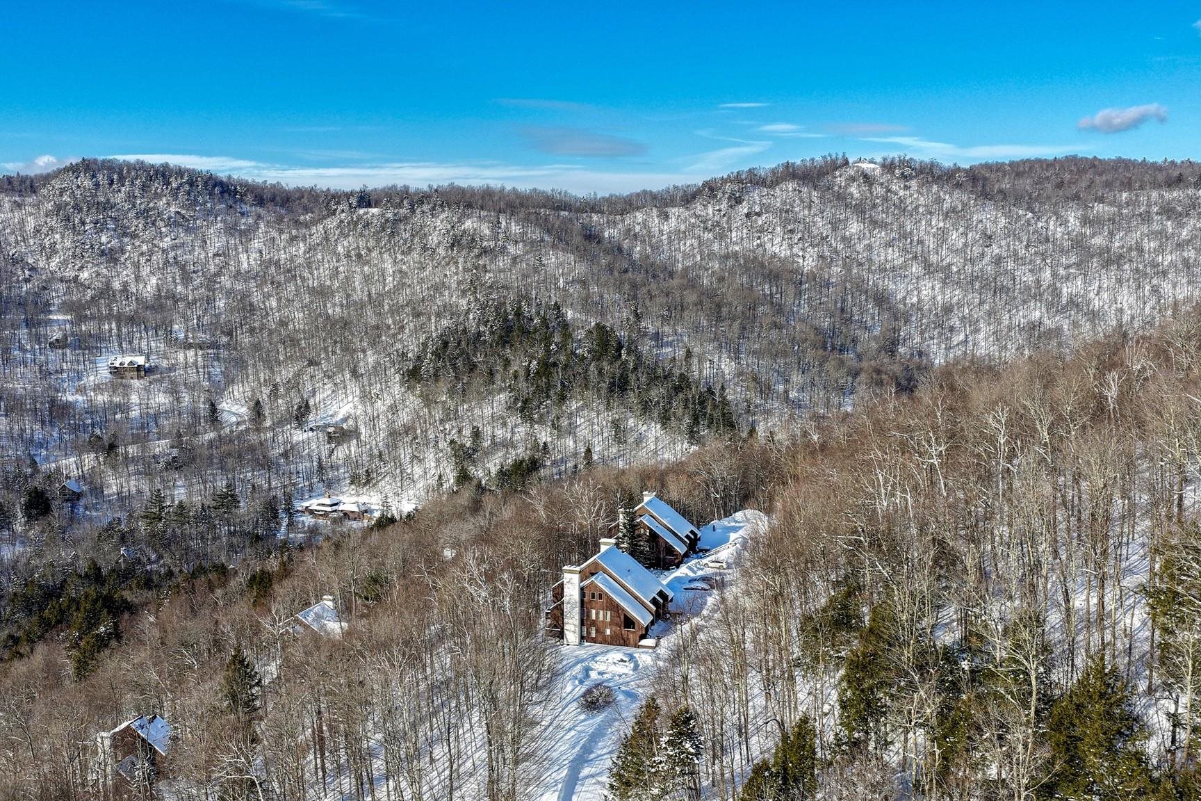 107 Blueberry Ledge Ridge Property Photo 50