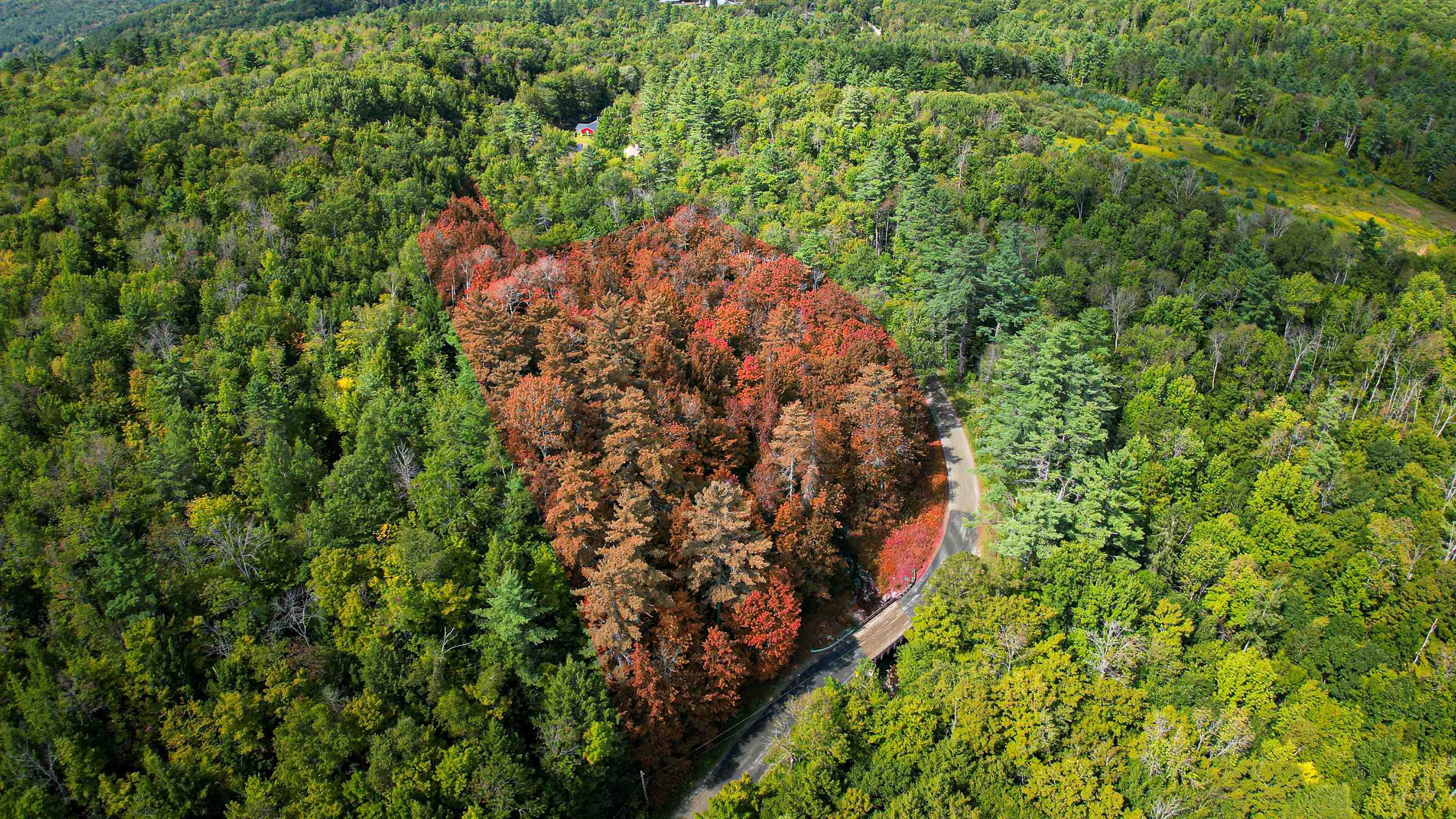 0 Camp Road Property Photo 1