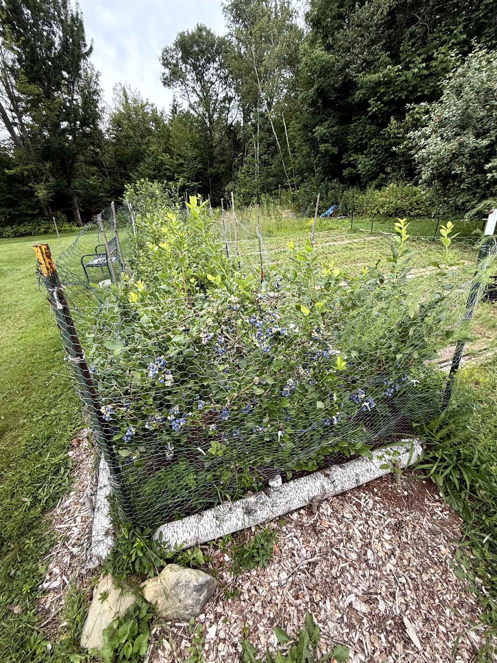 3041 Cross Road Property Photo 53