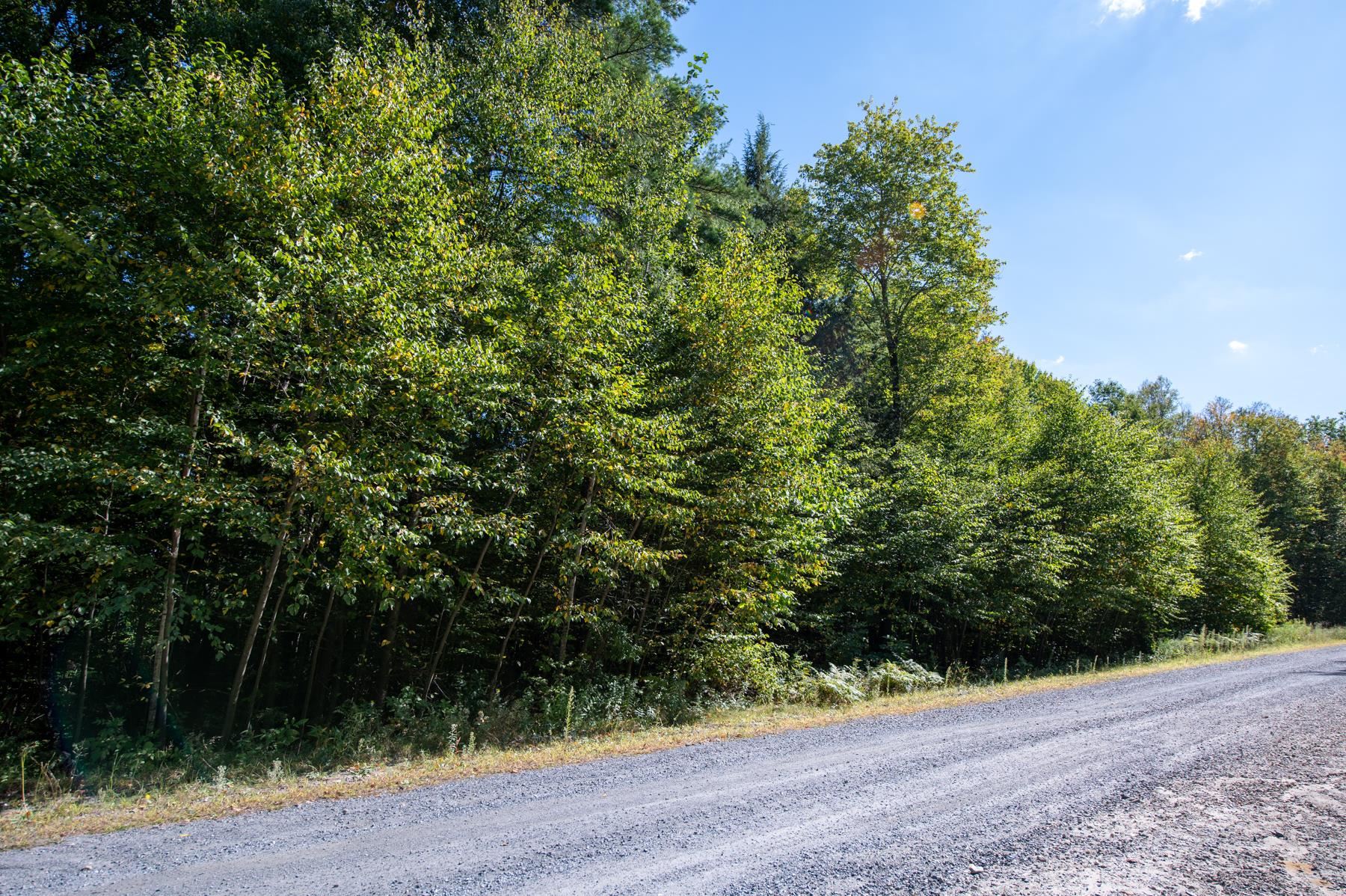 00 Remington Road Property Photo 3
