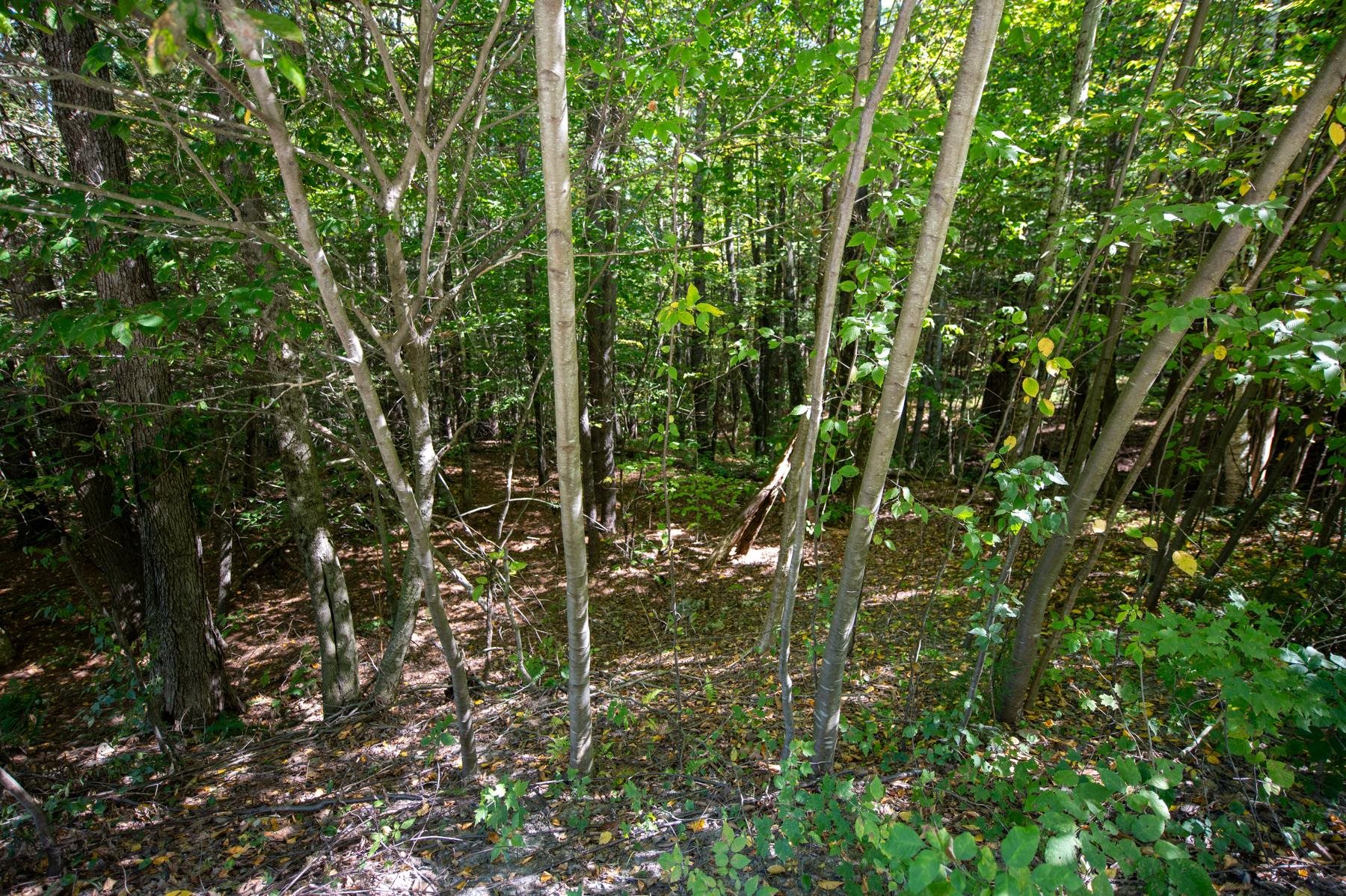 00 Remington Road Property Photo 4