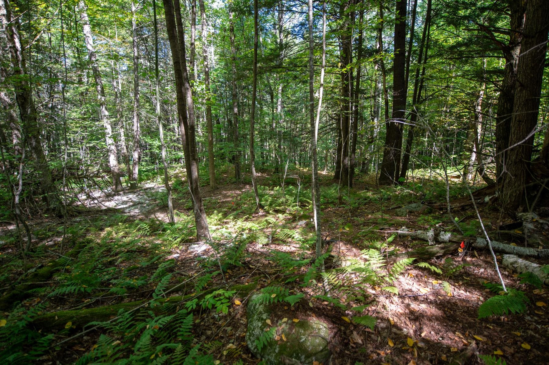 00 Remington Road Property Photo 9
