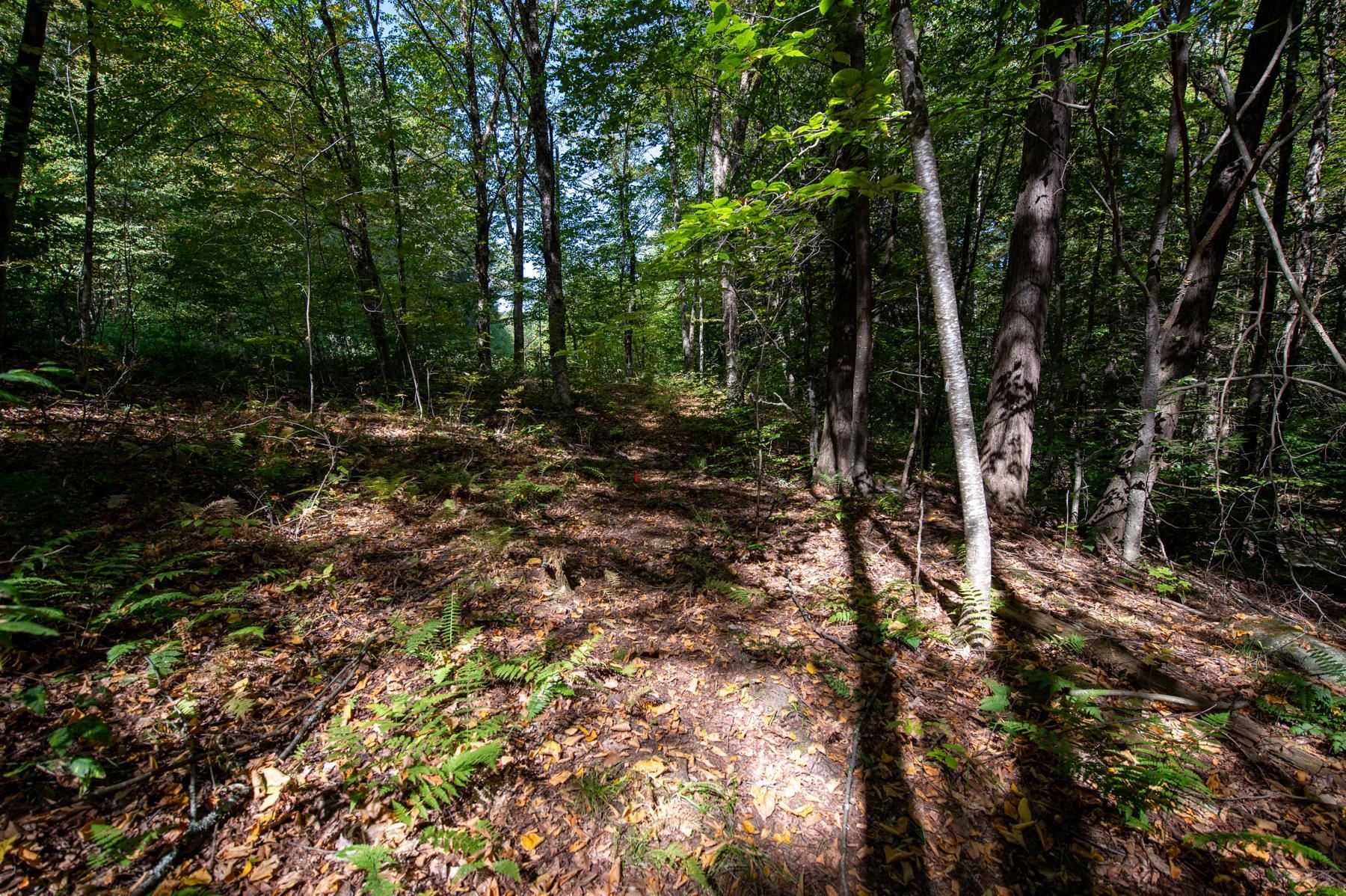 00 Remington Road Property Photo 12