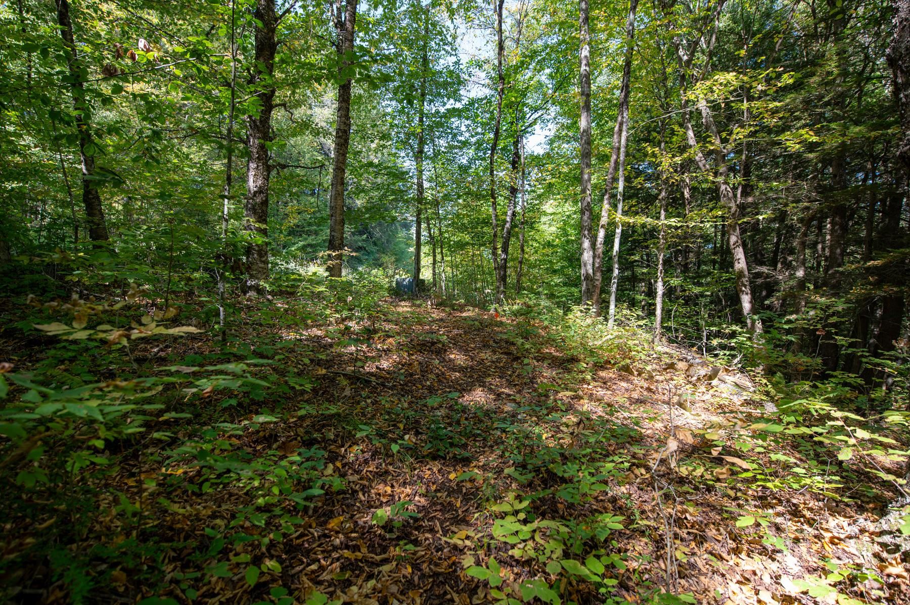 00 Remington Road Property Photo 14