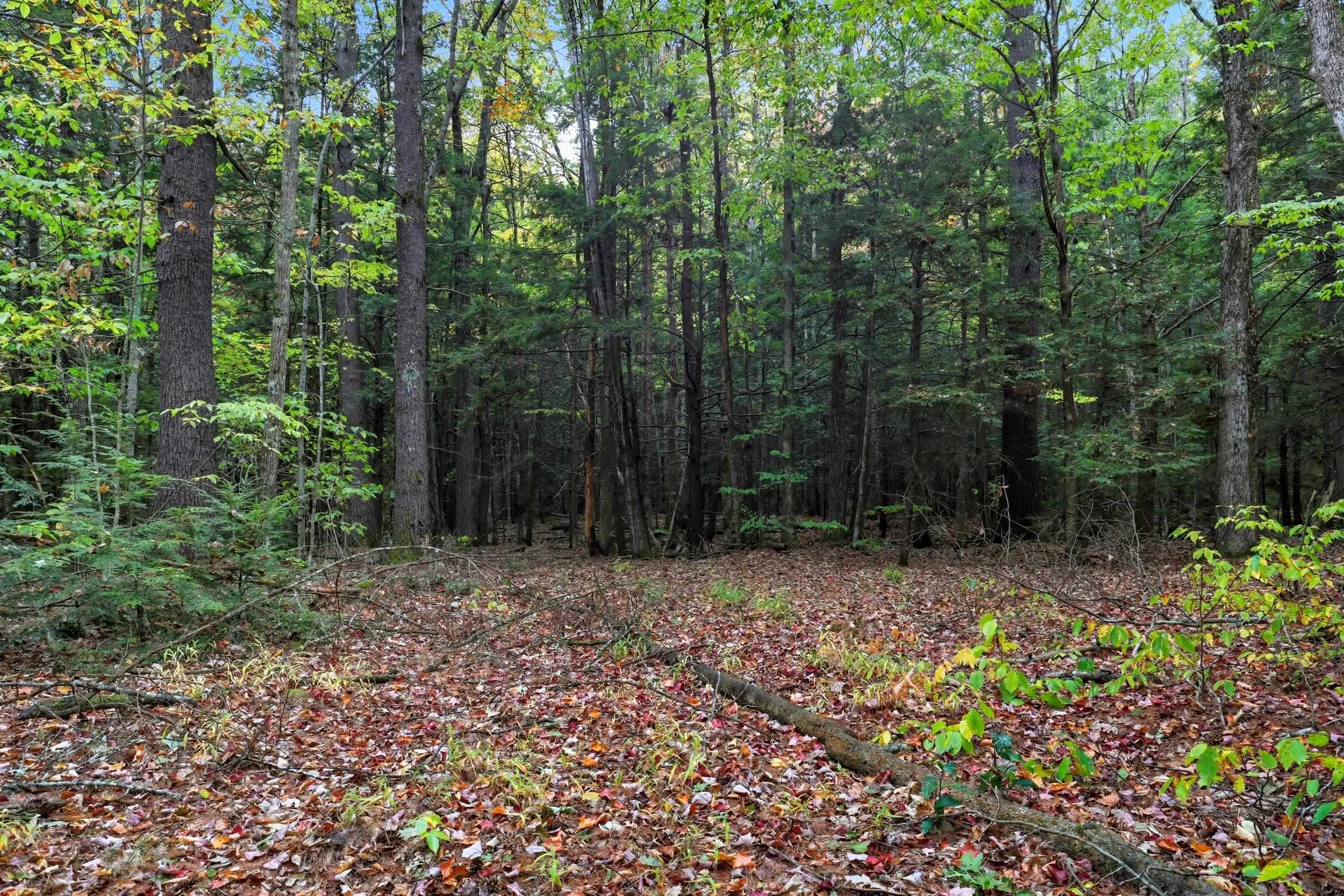 Gulf Road Property Photo 2