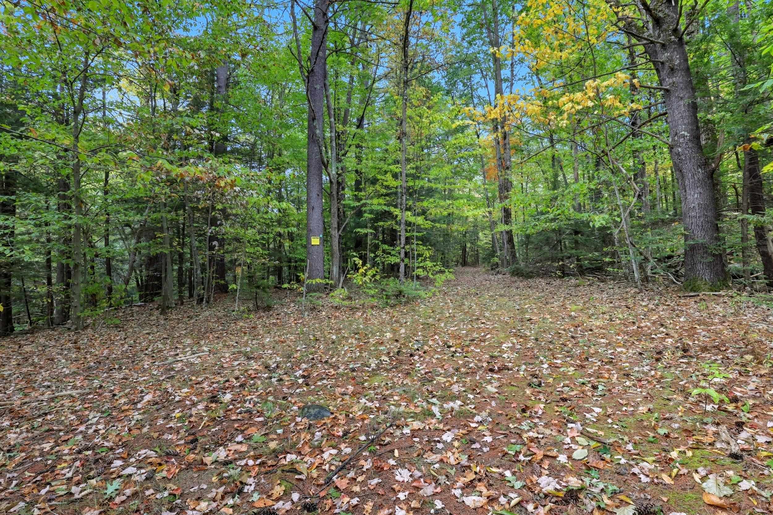 Gulf Road Property Photo 8