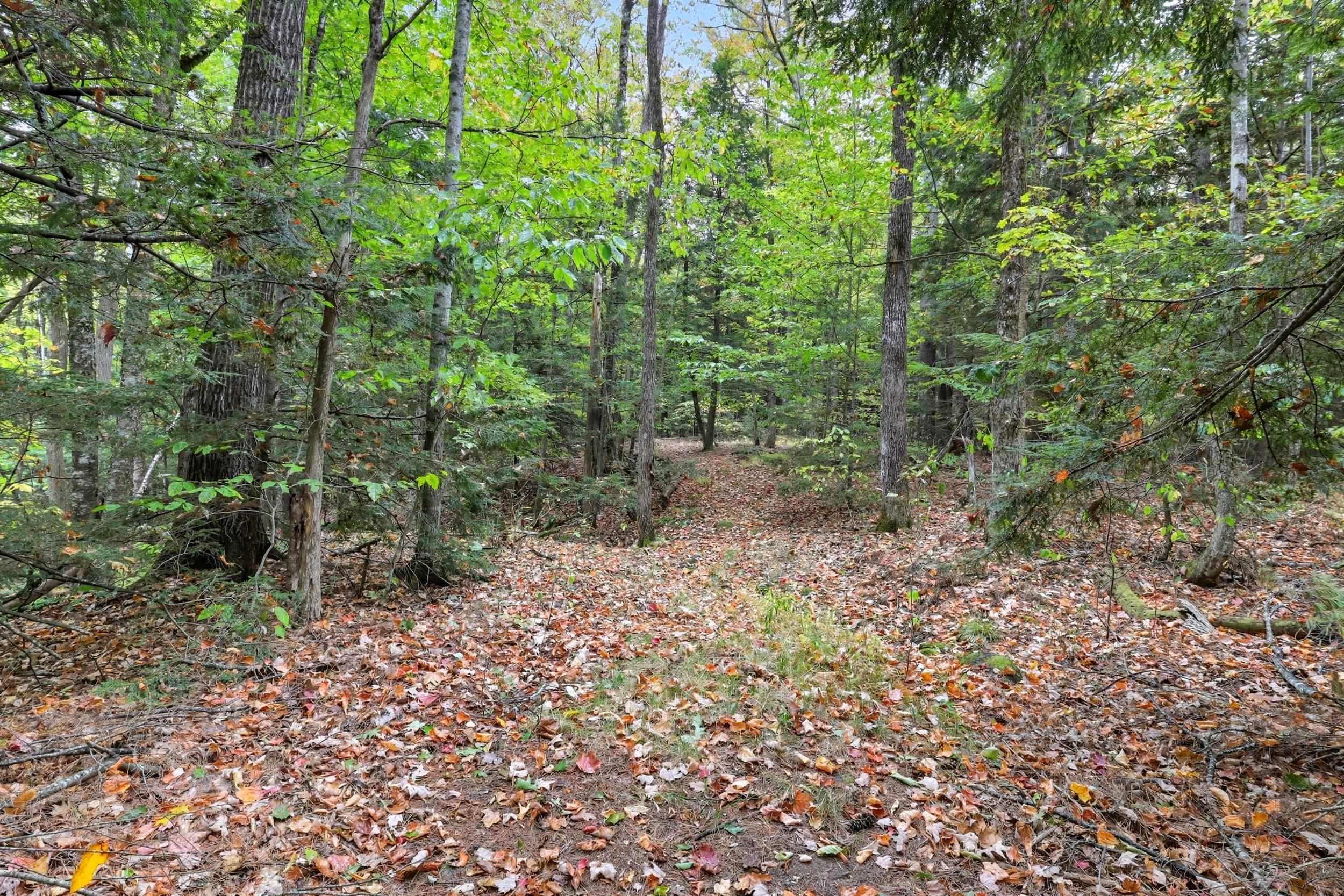 Gulf Road Property Photo 9
