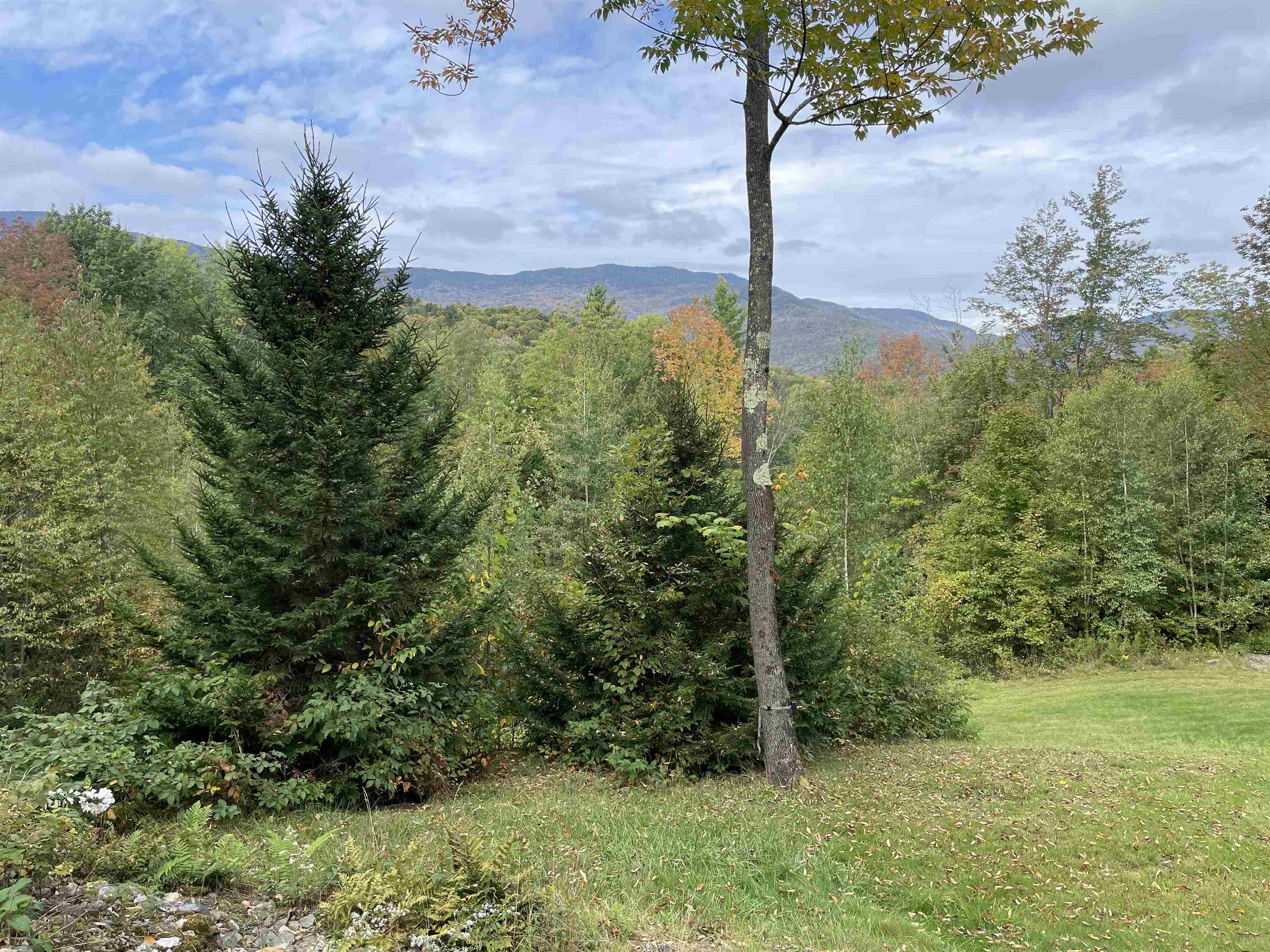 136 Old Quarry Road Property Photo 18