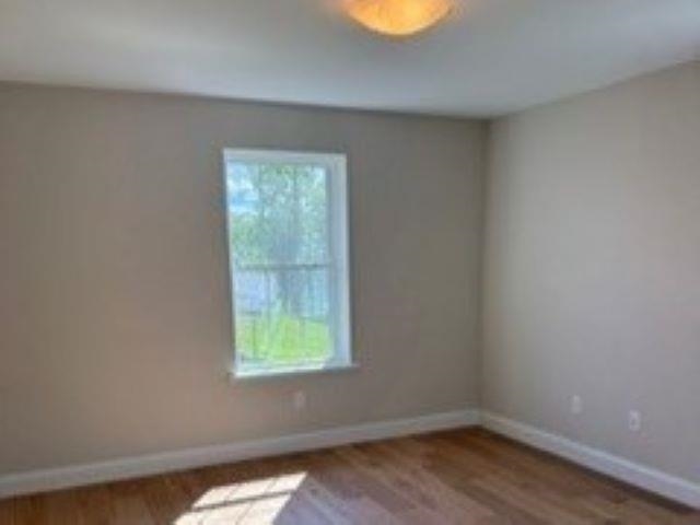 1a Connor Court Property Photo 15