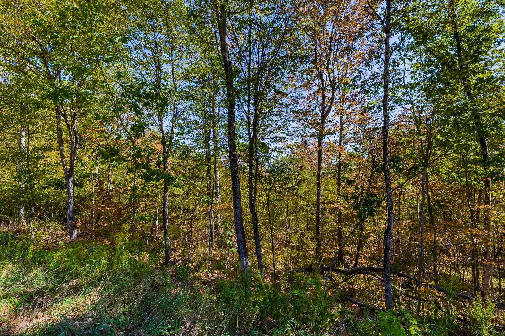 5268 Willard Road Property Photo 3