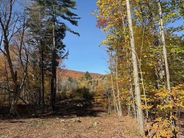 8 Okemo Acres Road Property Photo 3