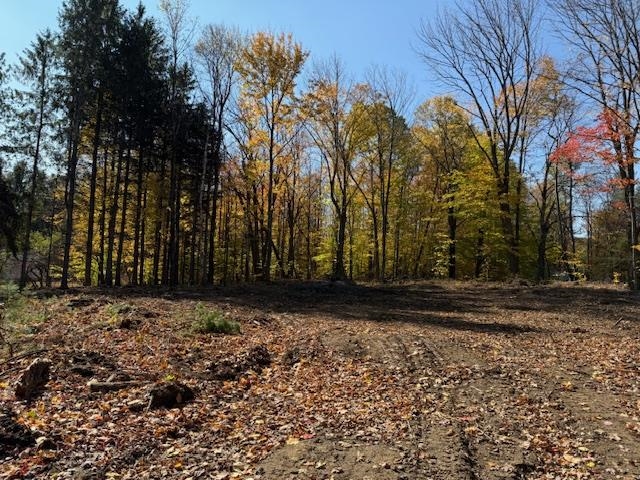 8 Okemo Acres Road Property Photo 4