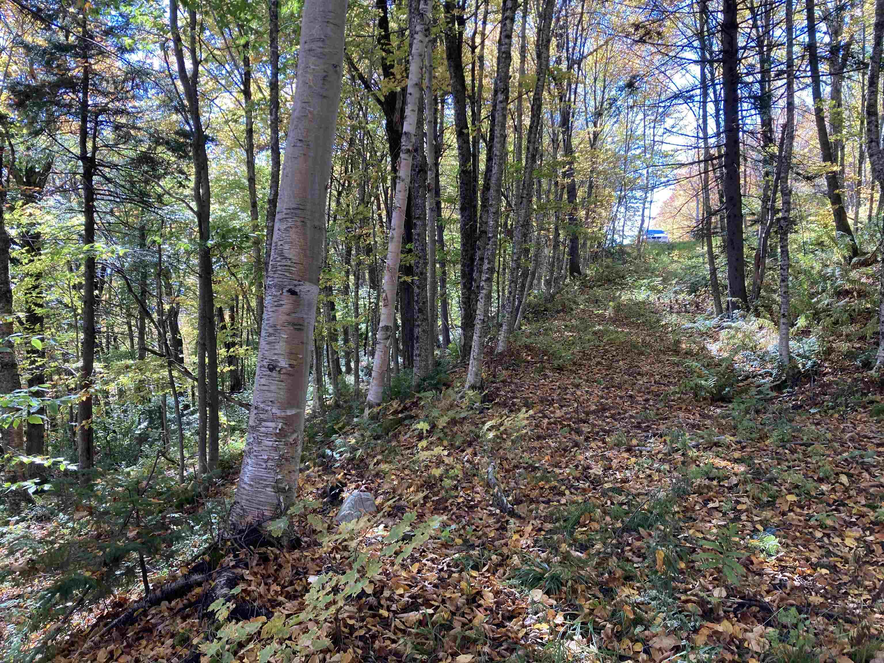 Lot 27 Roundabout Road Property Photo 8