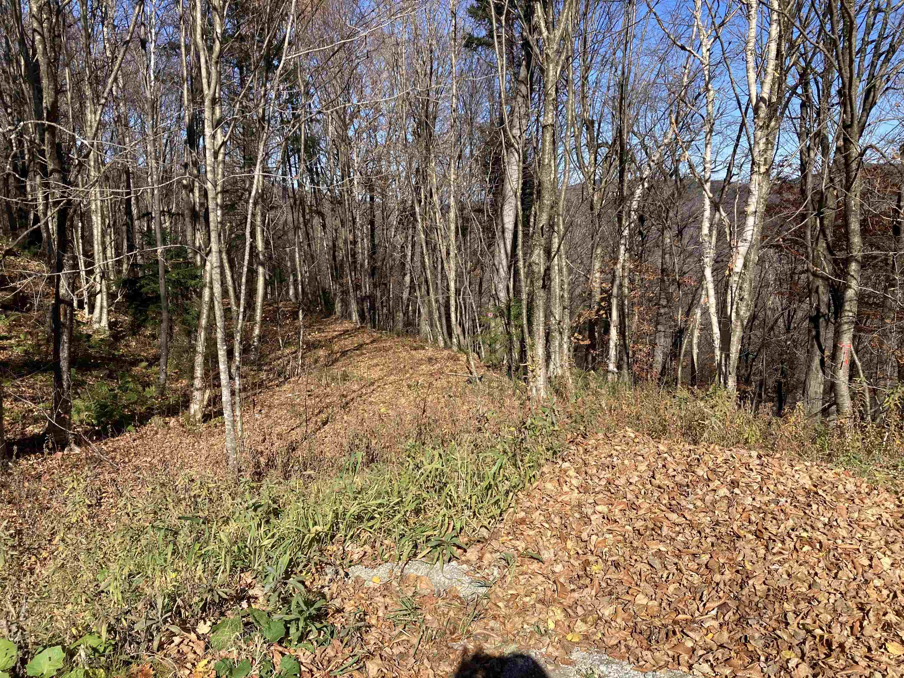 Lot 27 Roundabout Road Property Photo 12