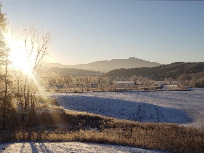 291 Sweet Road Property Photo 3