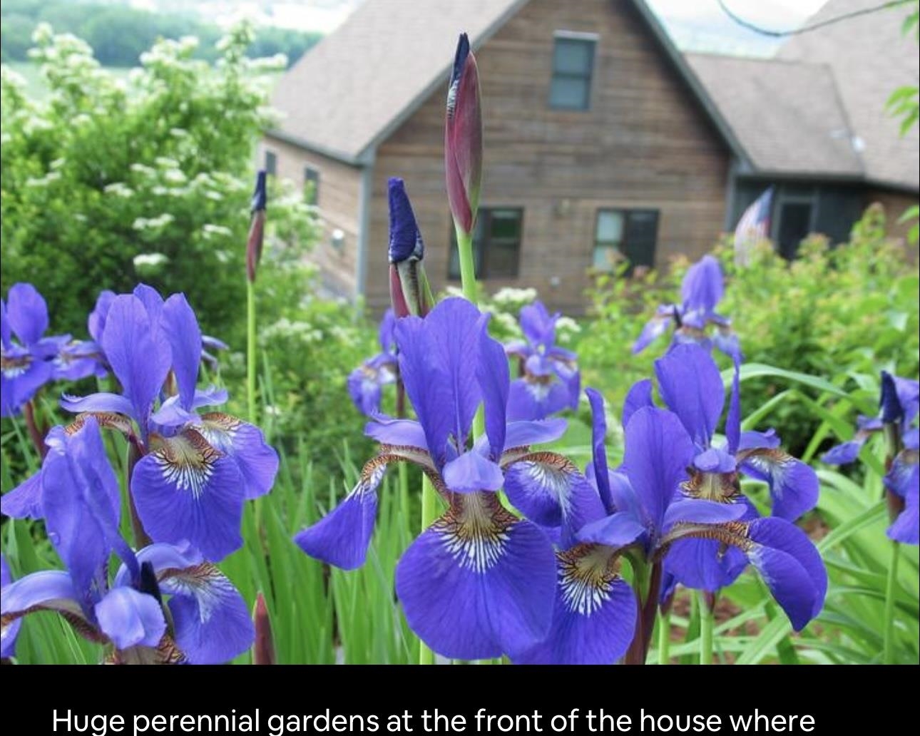 291 Sweet Road Property Photo 19