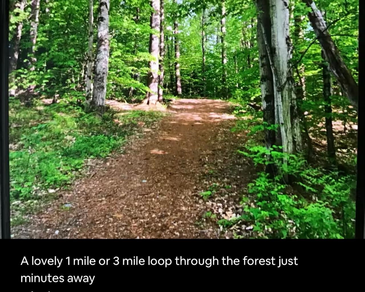 291 Sweet Road Property Photo 21