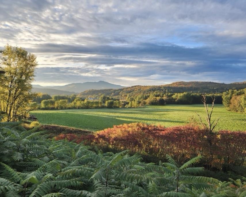 291 Sweet Road Property Photo 34