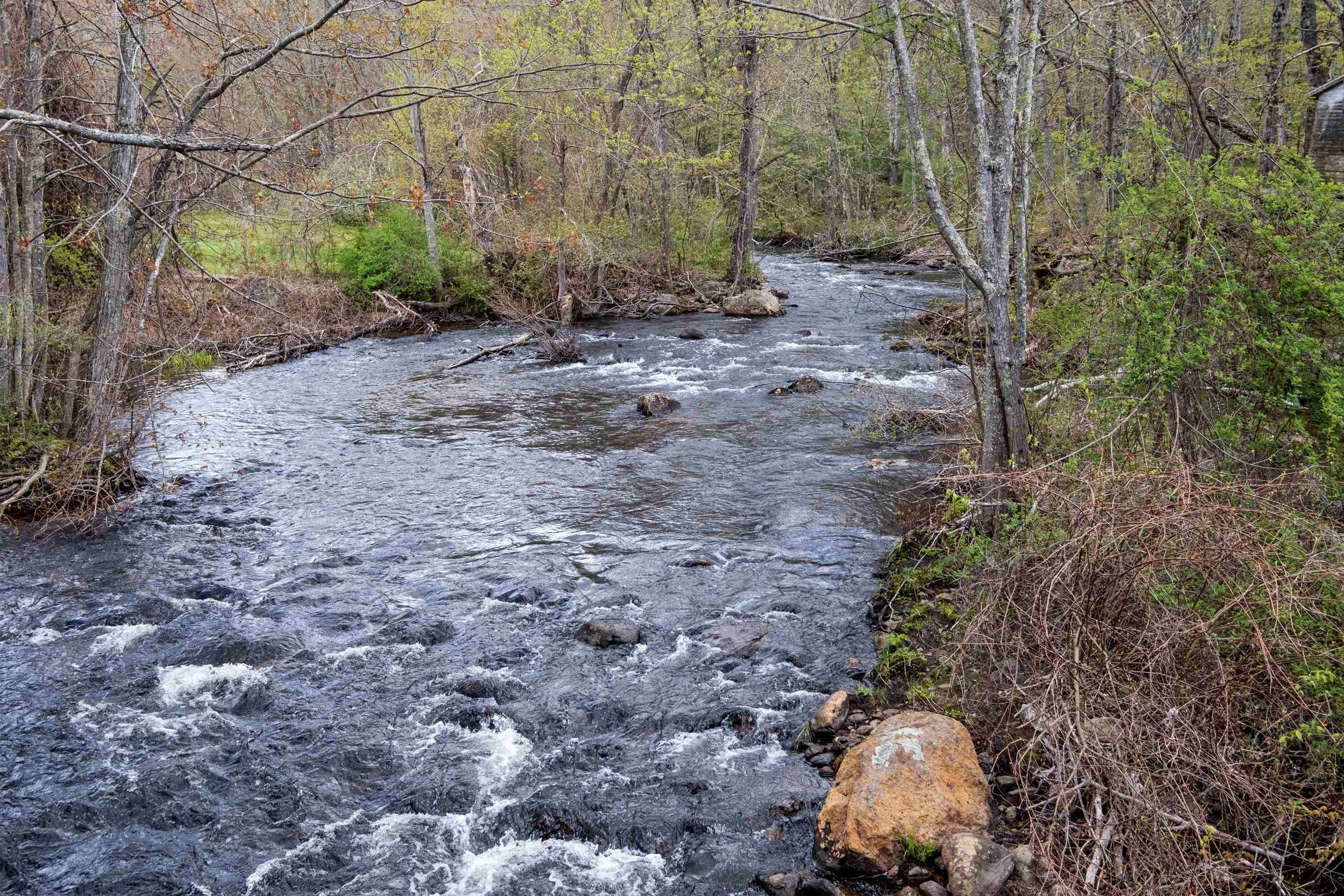 0 River Road Property Photo 2