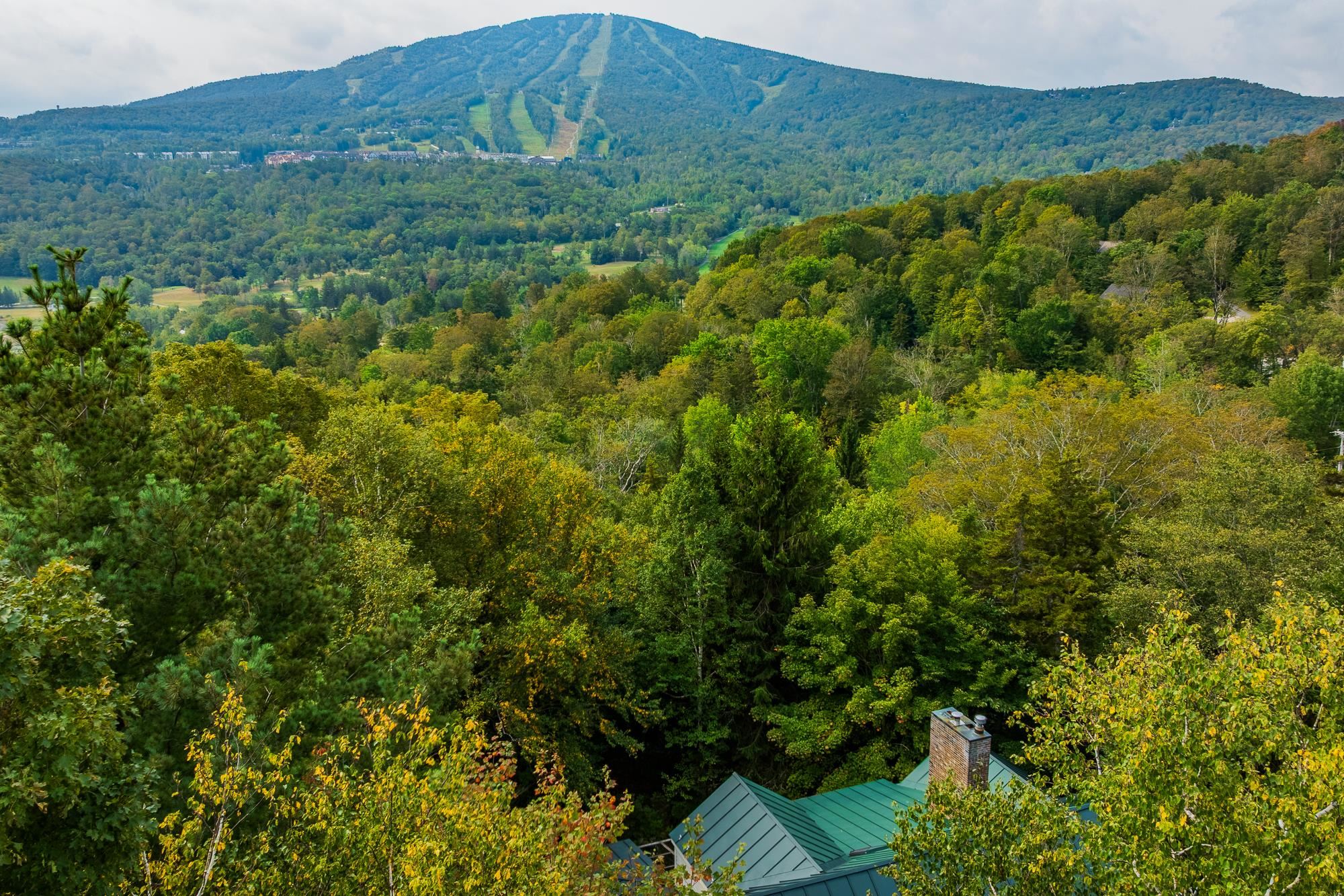 6 Old Ridge Road Property Photo 37