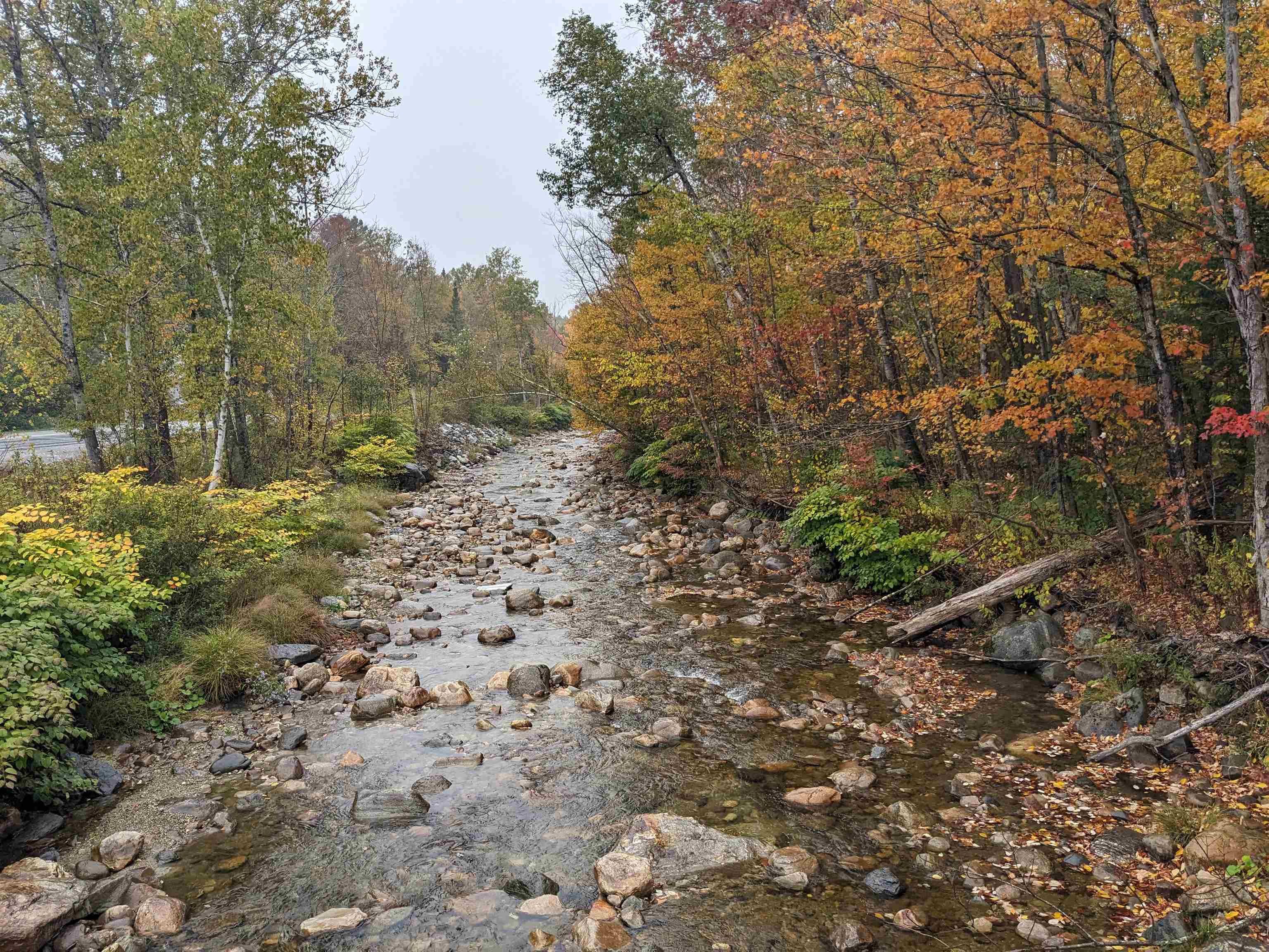 461 Wilmouth Hill Road Property Photo 24