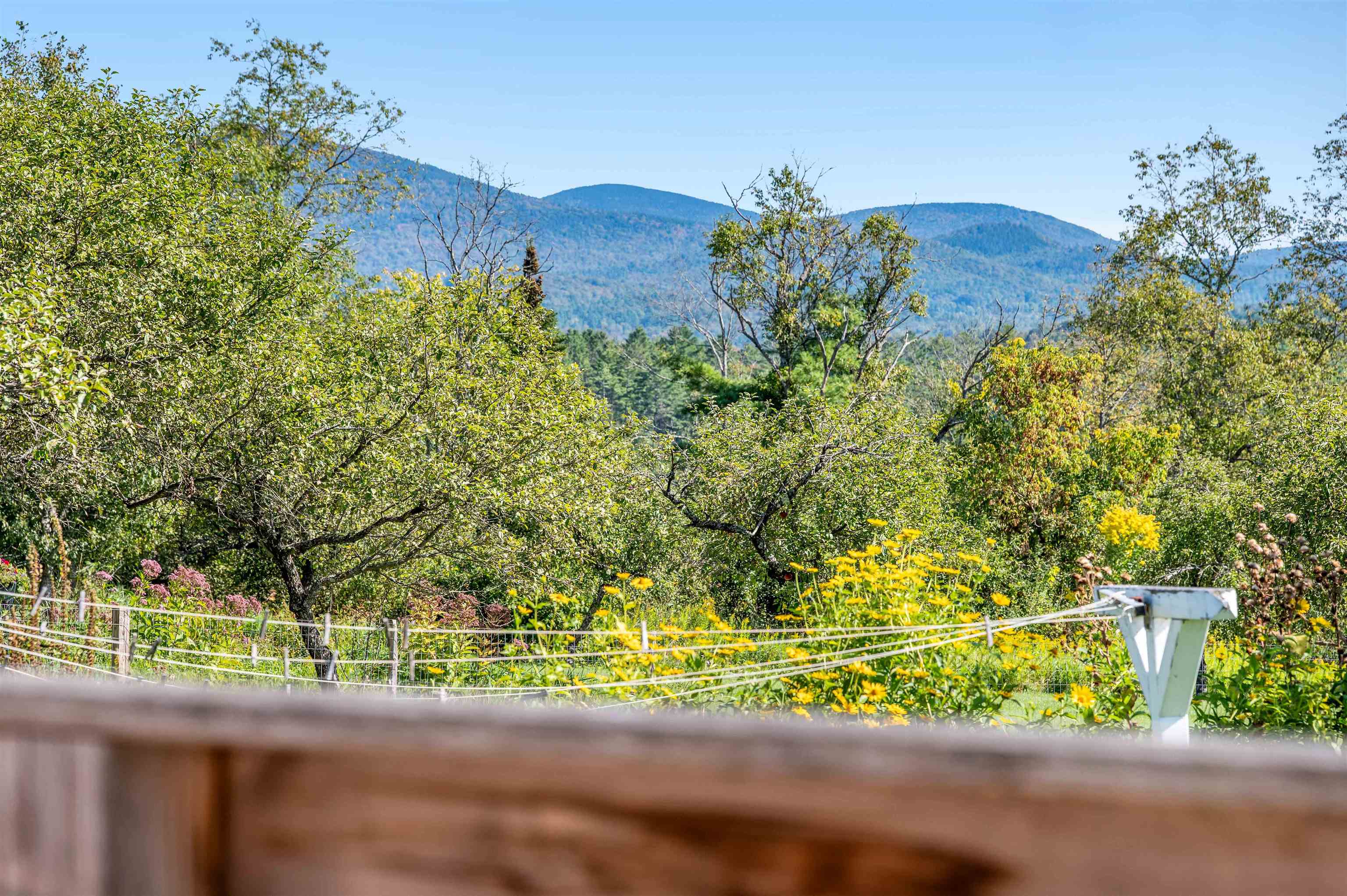 174 Coburn Road Property Photo 5