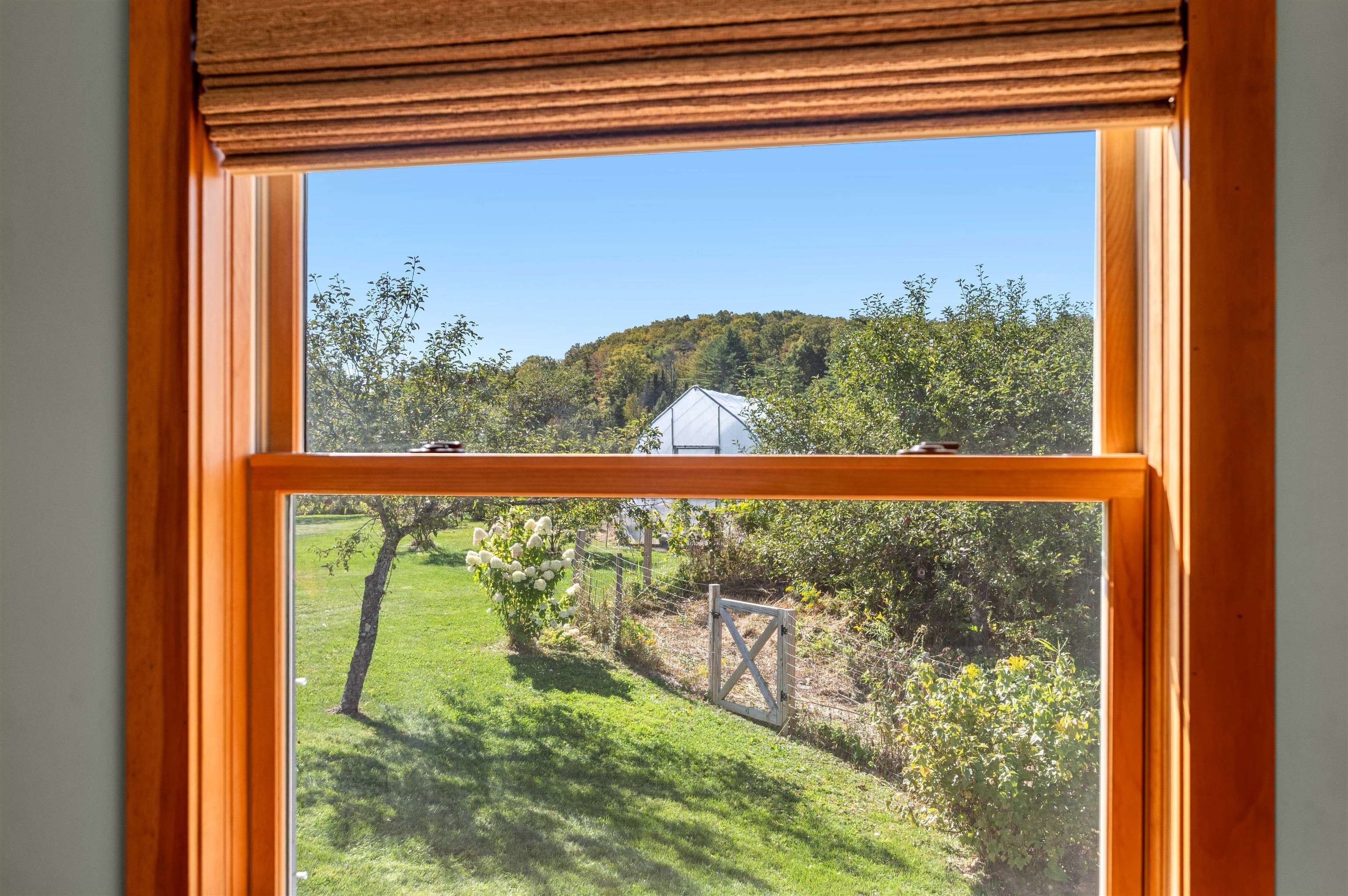 174 Coburn Road Property Photo 24