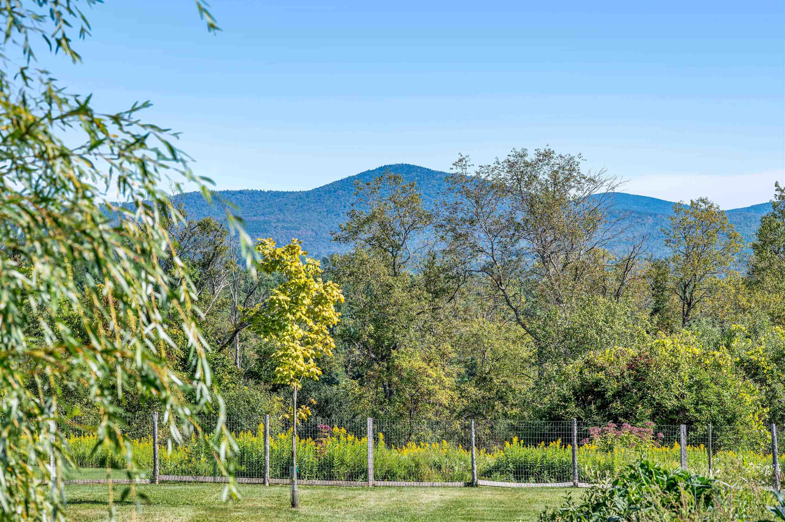 174 Coburn Road Property Photo 45