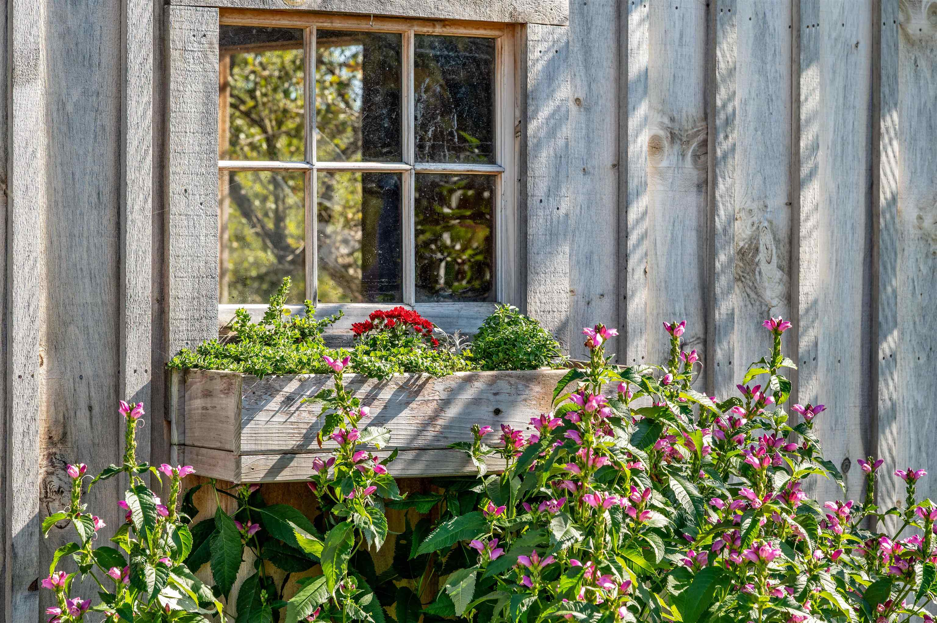 174 Coburn Road Property Photo 47