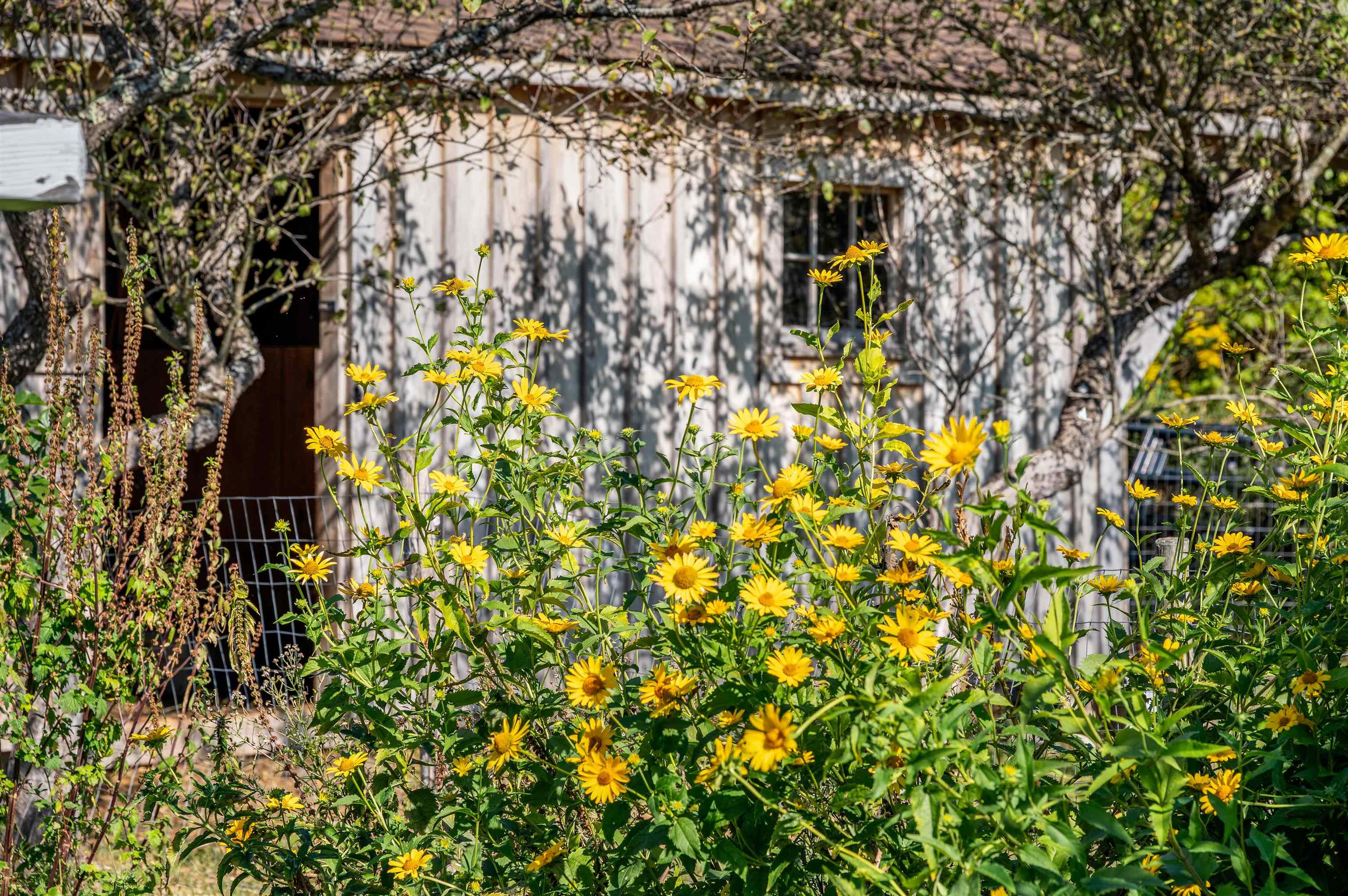 174 Coburn Road Property Photo 48