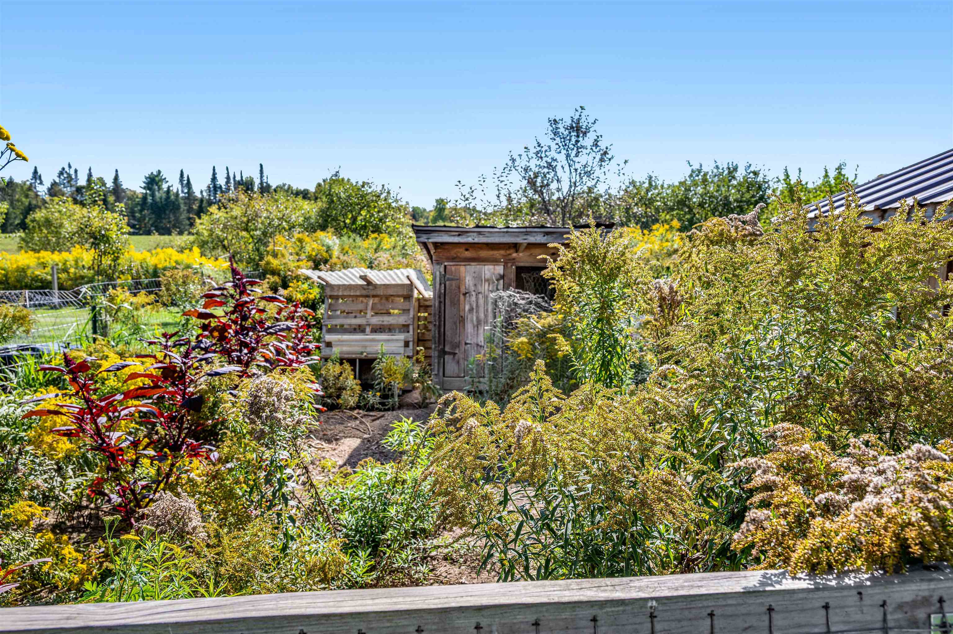 174 Coburn Road Property Photo 50