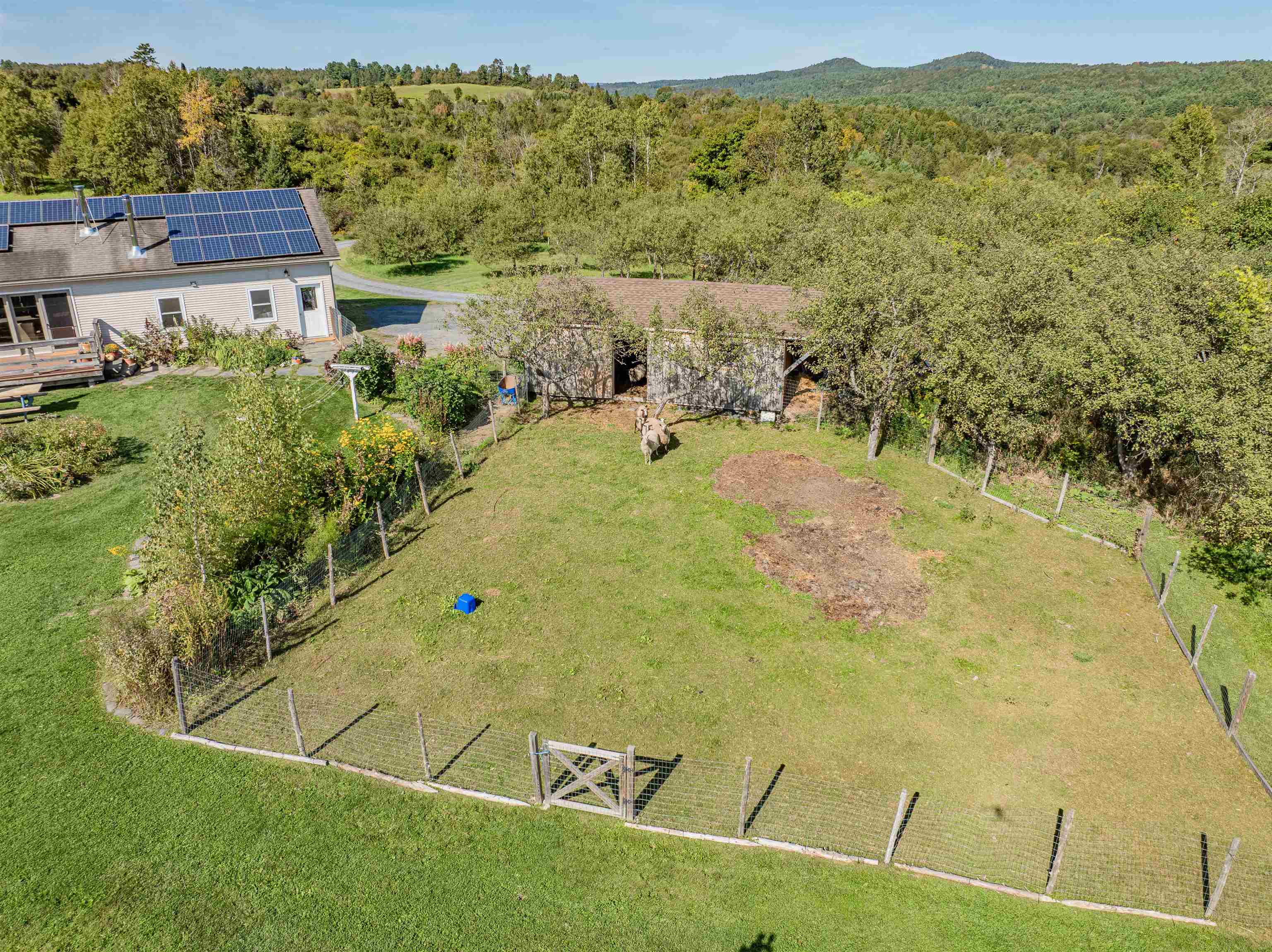 174 Coburn Road Property Photo 54