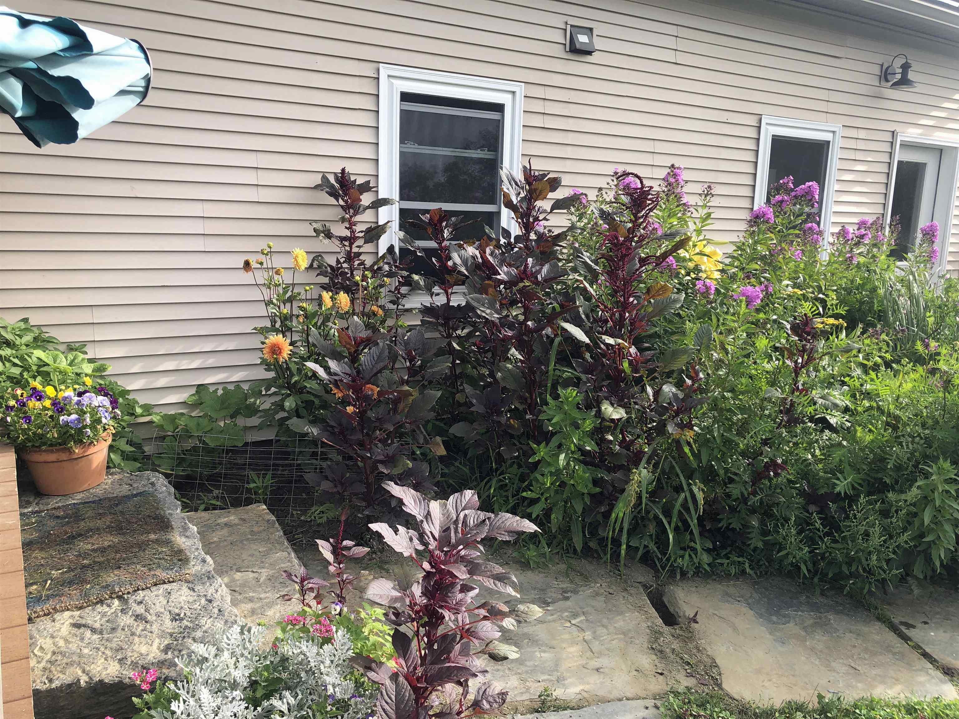 174 Coburn Road Property Photo 57