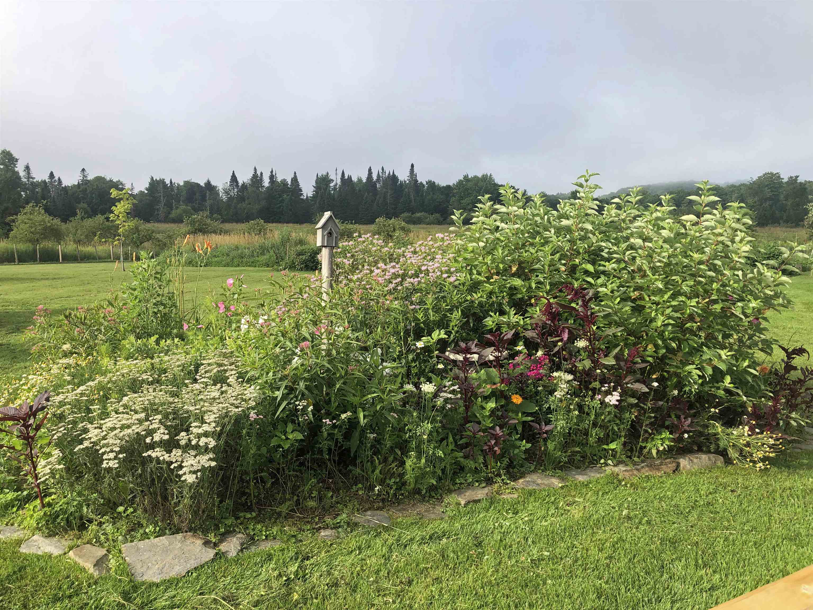 174 Coburn Road Property Photo 58