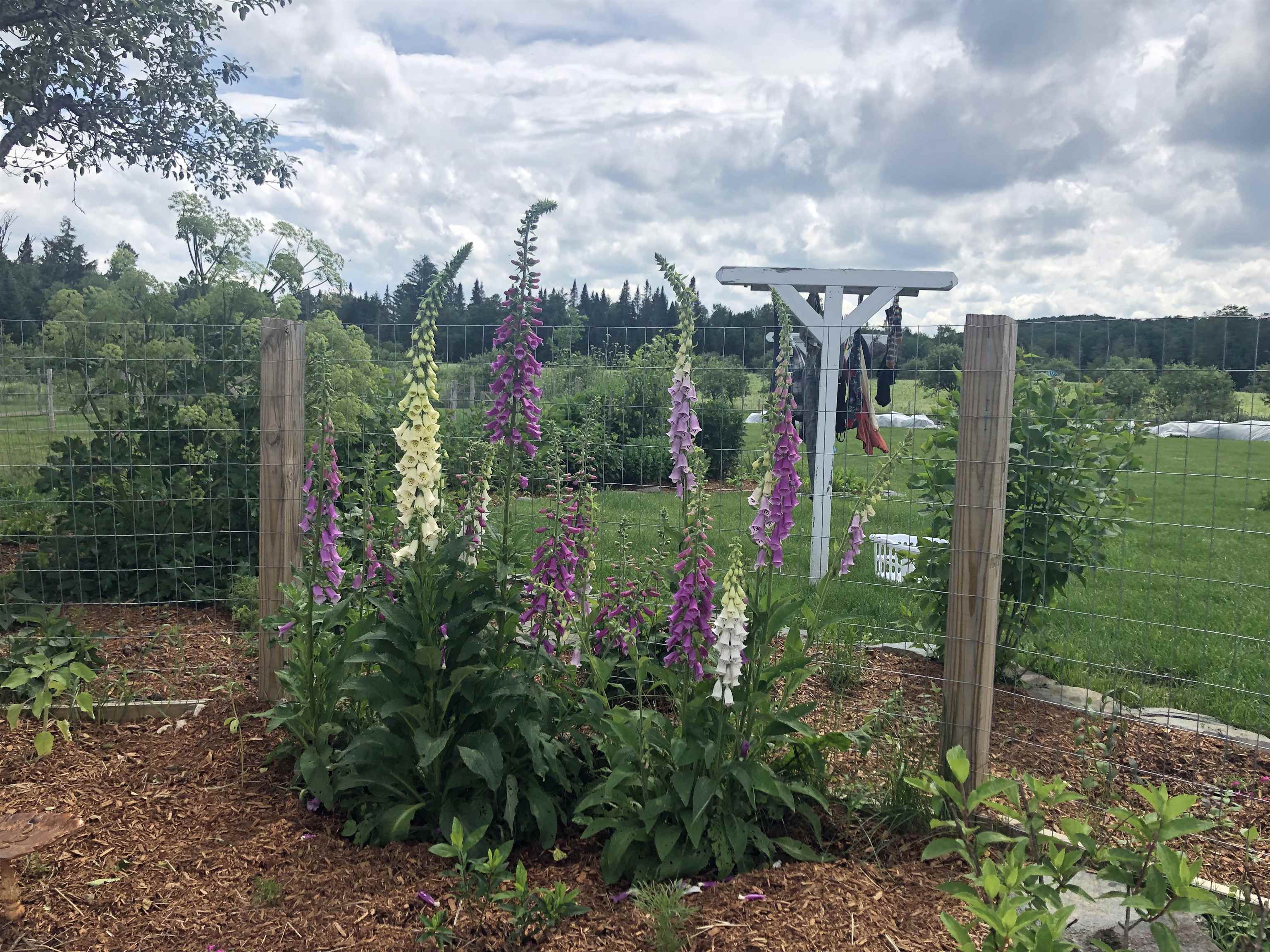 174 Coburn Road Property Photo 59