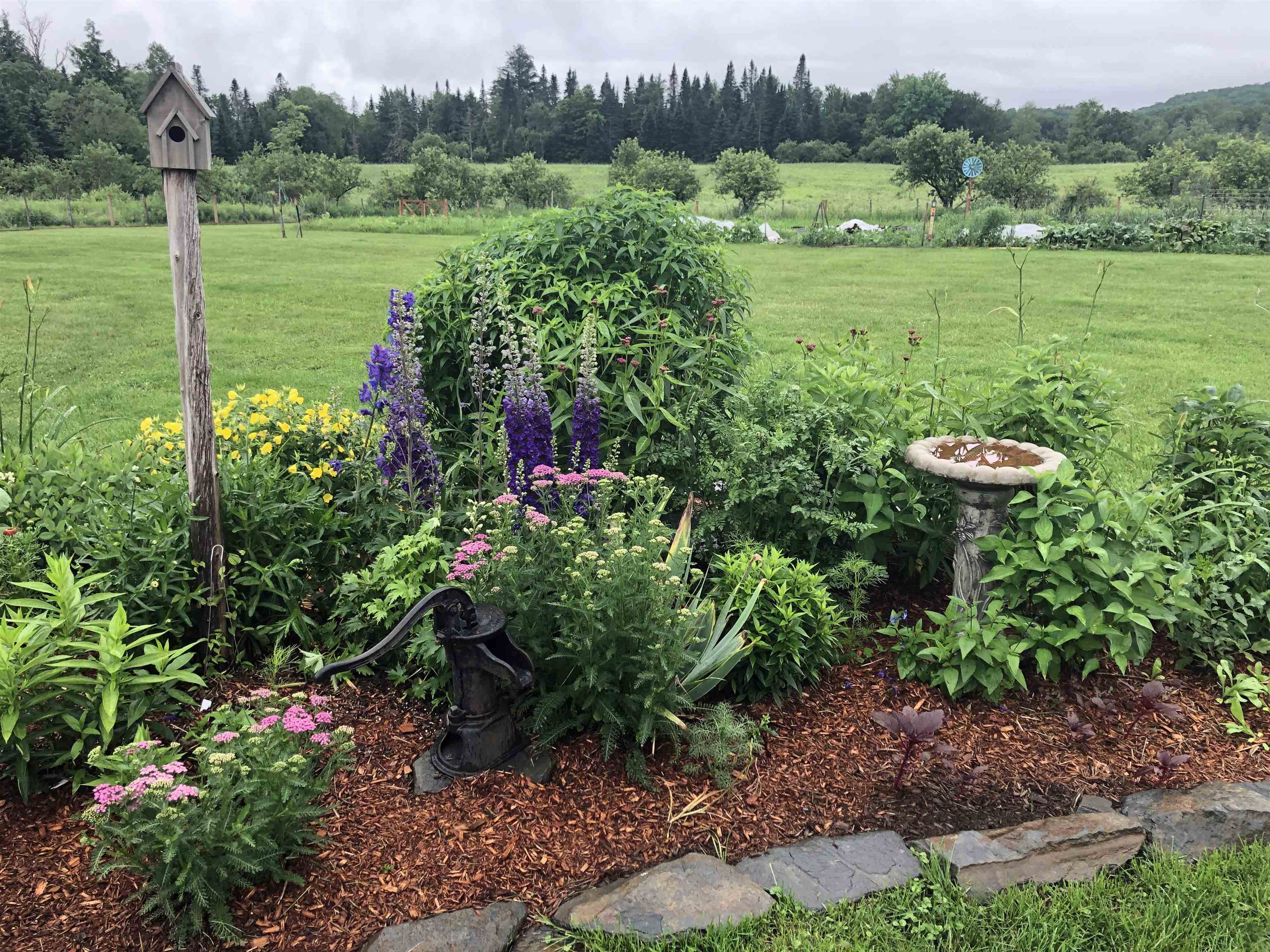 174 Coburn Road Property Photo 60