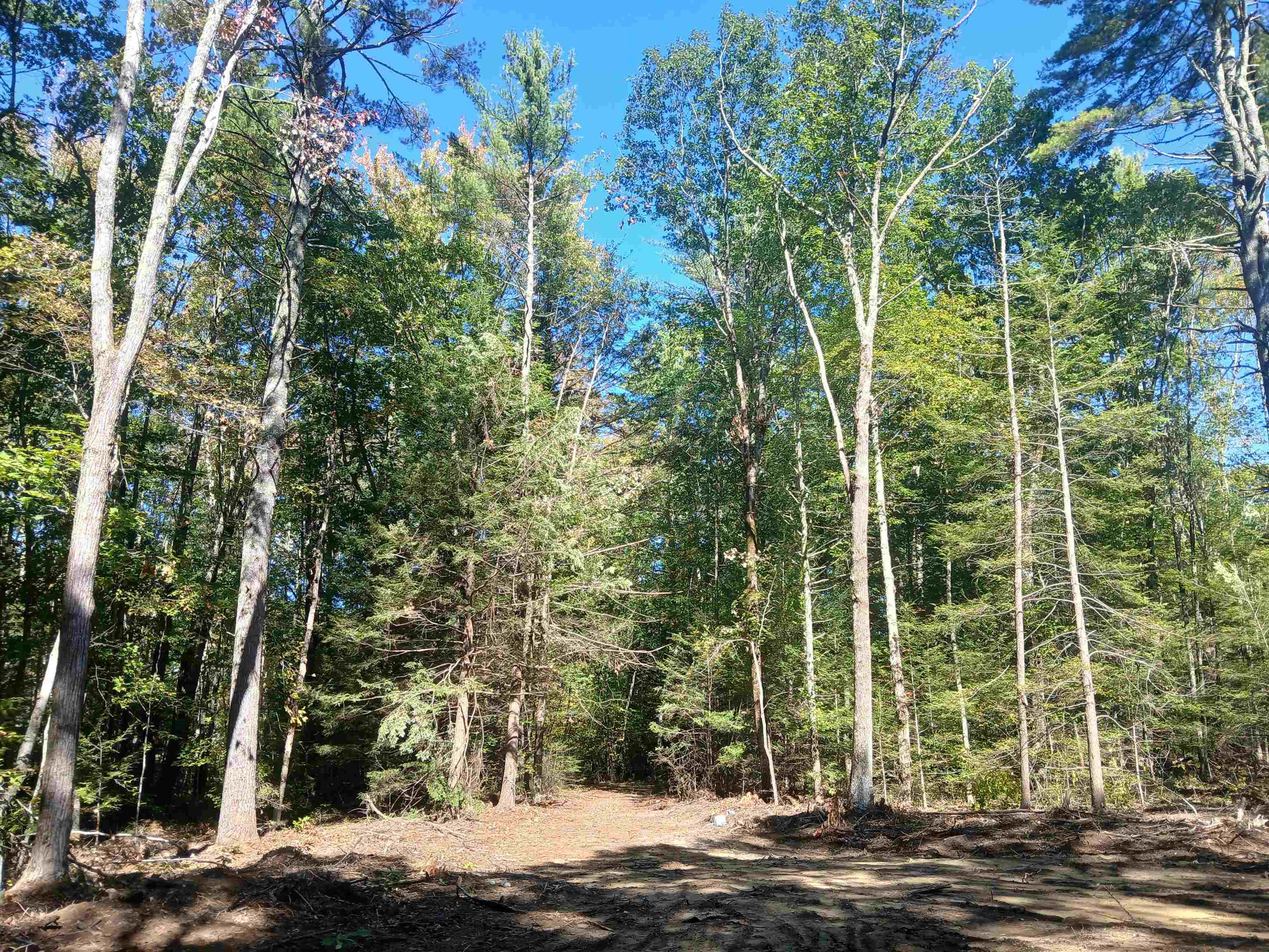 373 Calef Highway Property Photo 1