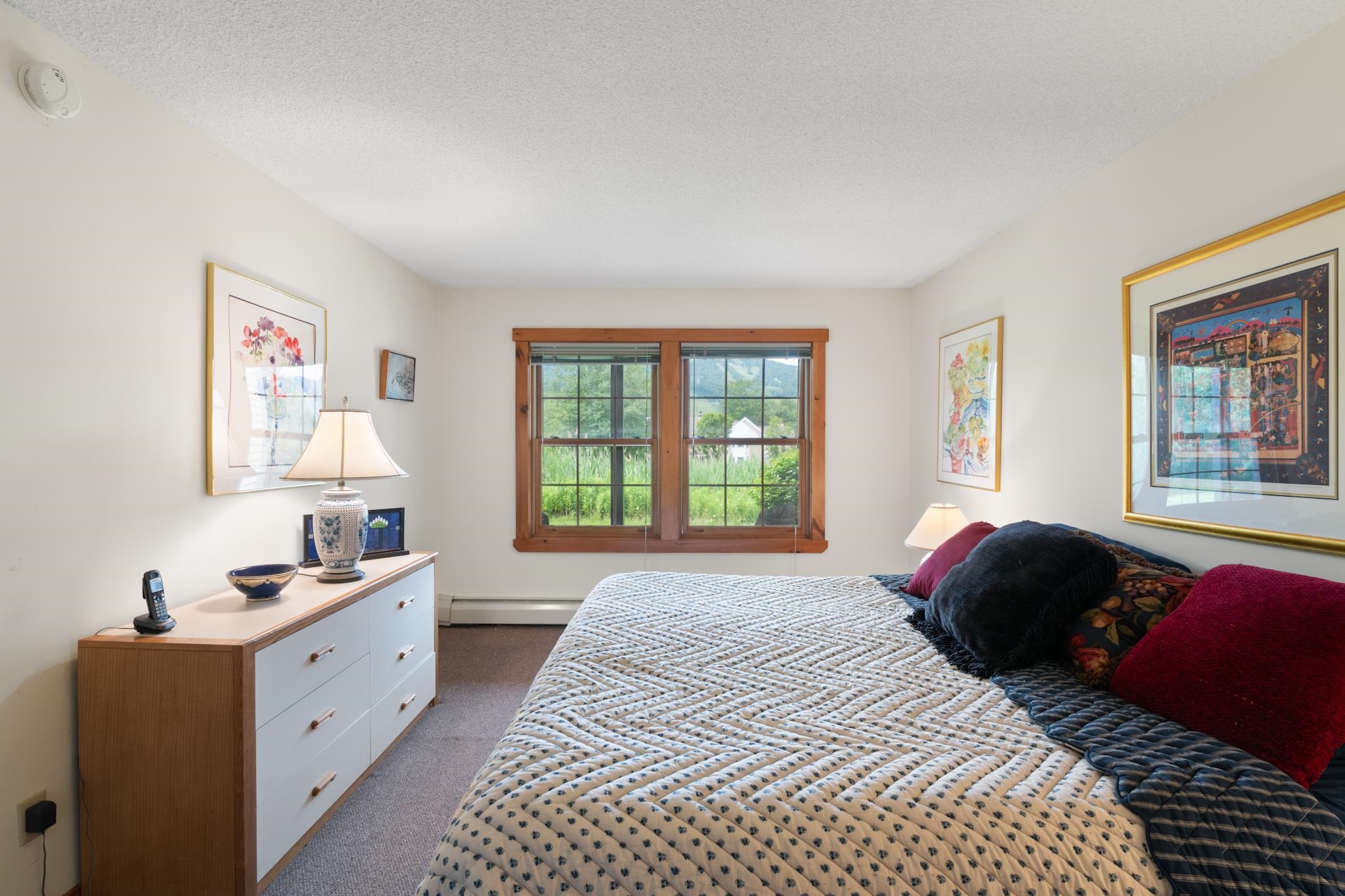 38b Greensprings Road Property Photo 39