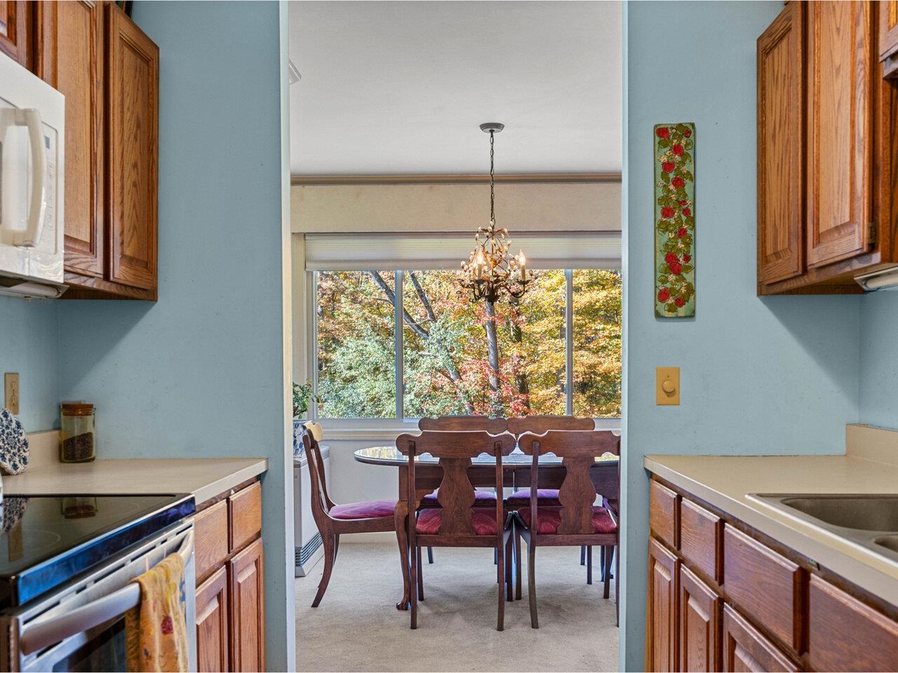 288 Cityside Drive Property Photo 16