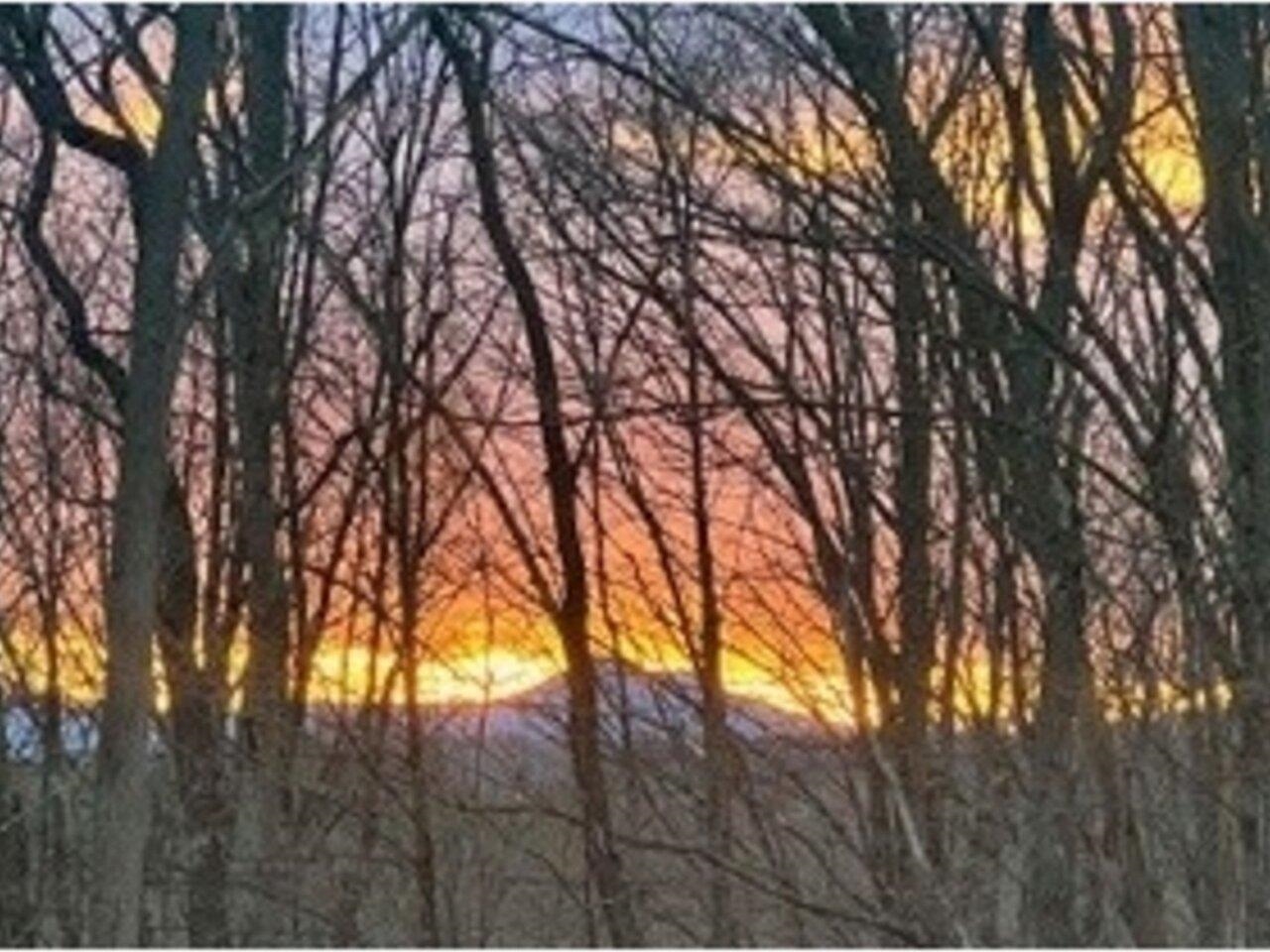 288 Cityside Drive Property Photo 32