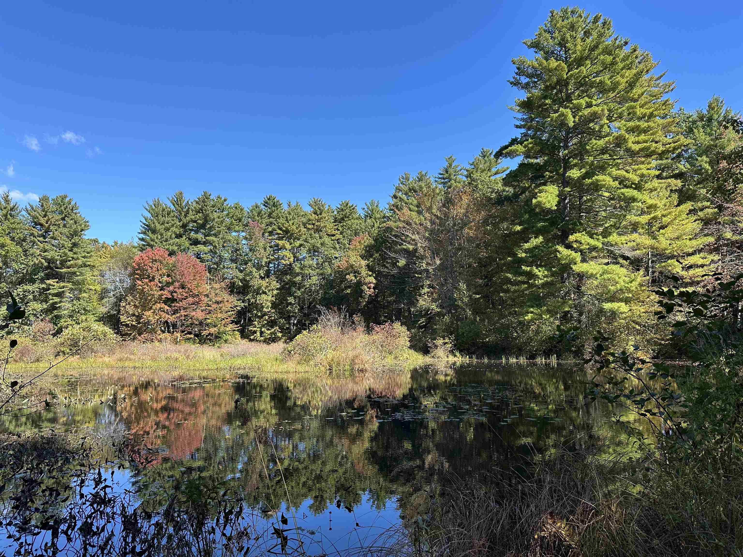 26 Ponemah Road Property Photo 1