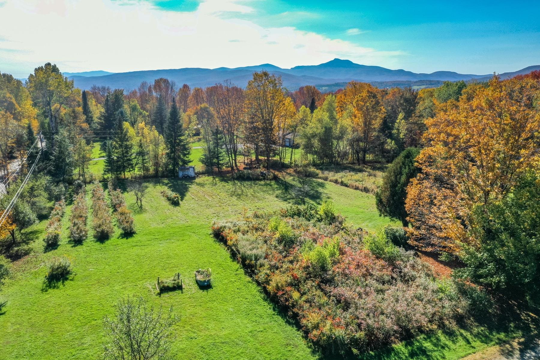1421 Shaw Mansion Road Property Photo 3